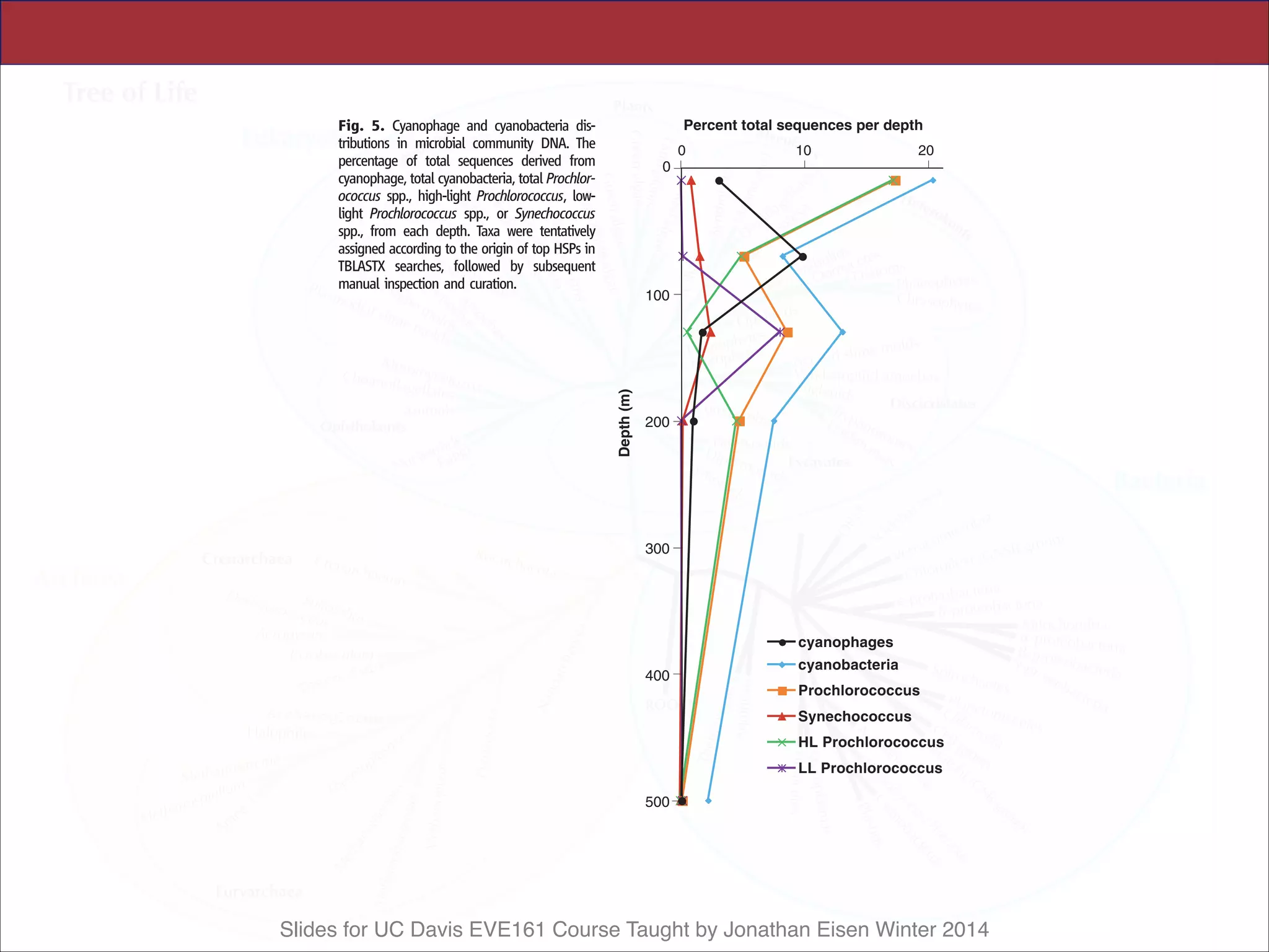 Slides for UC Davis EVE161 Course Taught by Jonathan Eisen Winter 2014
Some depth-specific gene distributions we ob-
served [e.g., transposases found predominantly
at greater depths (Fig. 4B; fig. S8)], appear to
originate from a wide variety of gene families
and genomic sources. These gene distributional
productivity, and lower effective population
sizes of deep-sea microbial communities. In
future comparative studies, similar deviations
in environmental gene stoichiometries might
be expected to provide even further insight
enabled ecological studies matures, it should
become possible to model microbial community
genomic, temporal, and spatial variability with
other environmental features. Significant future
attention will no doubt focus on interpreting
the complex interplay between genes, orga-
nisms, communities and the environment, as
well as the properties revealed that regulate
global biogeochemical cycles. Future efforts
in this area will advance our general perspective
on microbial ecology and evolution and elu-
cidate the biological dynamics that mediate
the flux of matter and energy in the world’s
oceans.
References and Notes
1. E. Forbes, in Physical Atlas of Natural Phenomena,
A. K. Johnston, Ed. (William Blackwood & Sons, London
and Edinburgh, 1856).
2. P. W. Hochachka, G. N. Somero, Biochemical Adaptation
(Princeton Univ. Press, Princeton, NJ, 1984),
pp. 450–495.
3. G. Rocap et al., Nature 424, 1042 (2003).
4. Z. I. Johnson et al., manuscript submitted.
5. N. J. West et al., Microbiology 147, 1731 (2001).
6. A. A. Yayanos, Annu. Rev. Microbiol. 49, 777 (1995).
7. N. R. Pace, Science 276, 734 (1997).
8. M. S. Rappe´, S. J. Giovannoni, Annu. Rev. Microbiol. 57,
369 (2003).
9. M. T. Suzuki et al., Microb Ecol (2005).
10. O. Be´ja` et al., Environ. Microbiol. 2, 516 (2000).
11. R. M. Morris, M. S. Rappe´, E. Urbach, S. A. Connon,
S. J. Giovannoni, Appl. Environ. Microbiol. 70, 2836
(2004).
12. S. Y. Moon-van der Staay et al., Nature 409, 607
(2001).
13. J. A. Fuhrman, K. McCallum, A. A. Davis, Nature 356, 148
(1992).
14. E. F. DeLong, Proc. Natl. Acad. Sci. U.S.A. 89, 5685
(1992).
15. M. B. Karner et al., Nature 409, 507 (2001).
16. J. Handelsman, Microbiol. Mol. Biol. Rev. 68, 669
(2004).
17. E. F. Delong, Nat Rev Microbiol (2005).
18. G. W. Tyson et al., Nature 428, 37 (2004).
19. J. C. Venter et al., Science 304, 66 (2004).
20. S. G. Tringe et al., Science 308, 554 (2005).
21. S. J. Hallam et al., Science 305, 1457 (2004).
22. D. M. Karl, R. Lukas, Deep-Sea Res. II 43, 129
(1996).
23. D. M. Karl et al., Deep-Sea Res. II 48, 1449 (2001).
Fig. 5. Cyanophage and cyanobacteria dis-
tributions in microbial community DNA. The
percentage of total sequences derived from
cyanophage, total cyanobacteria, total Prochlor-
ococcus spp., high-light Prochlorococcus, low-
light Prochlorococcus spp., or Synechococcus
spp., from each depth. Taxa were tentatively
assigned according to the origin of top HSPs in
TBLASTX searches, followed by subsequent
manual inspection and curation.
0
100
200
300
400
500
0 10 20
cyanobacteria
Prochlorococcus
Synechococcus
HL Prochlorococcus
LL Prochlorococcus
cyanophages
Percent total sequences per depth
Depth(m)
RESEARCH ARTICLES
 