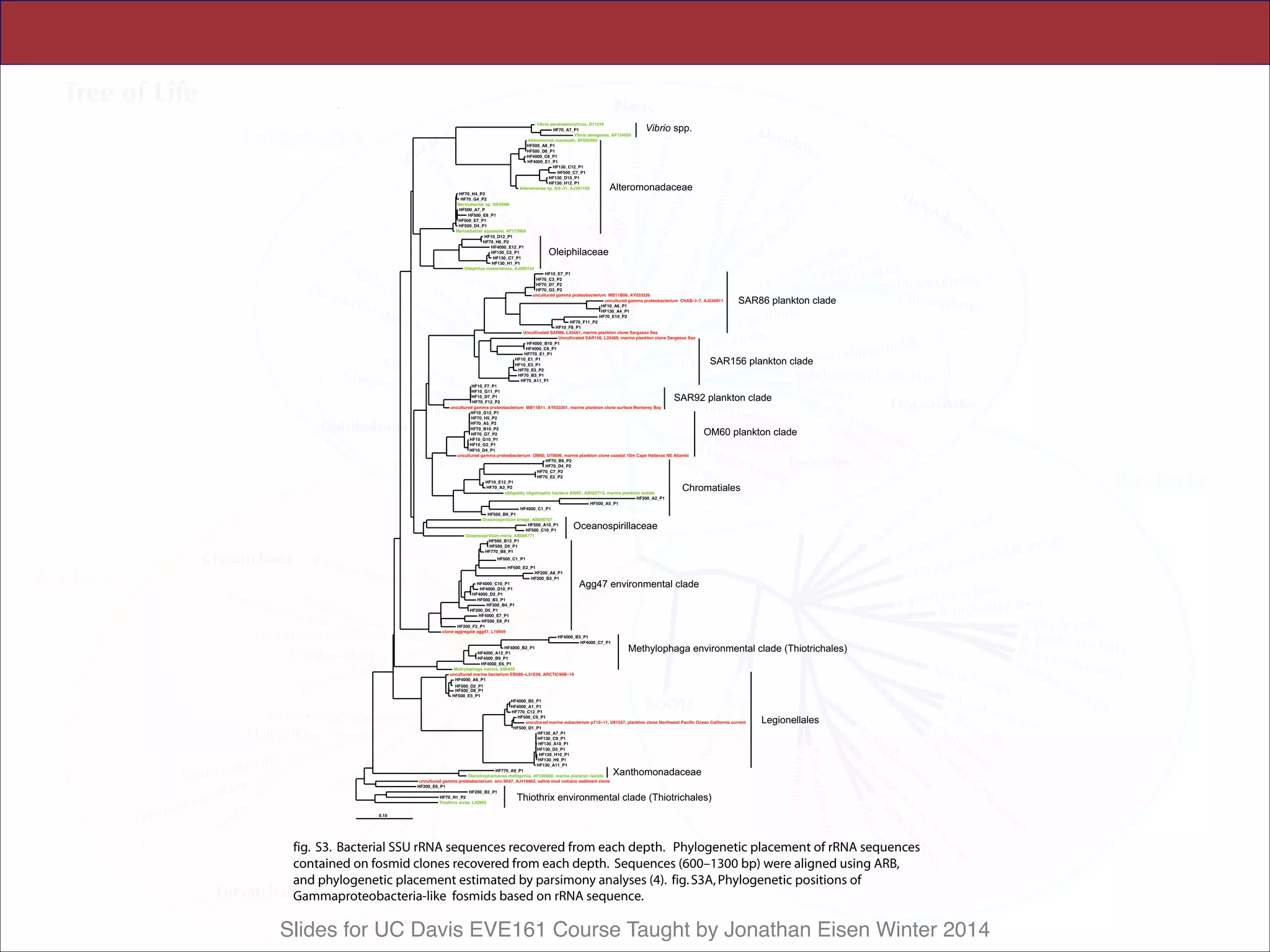 Slides for UC Davis EVE161 Course Taught by Jonathan Eisen Winter 2014
 