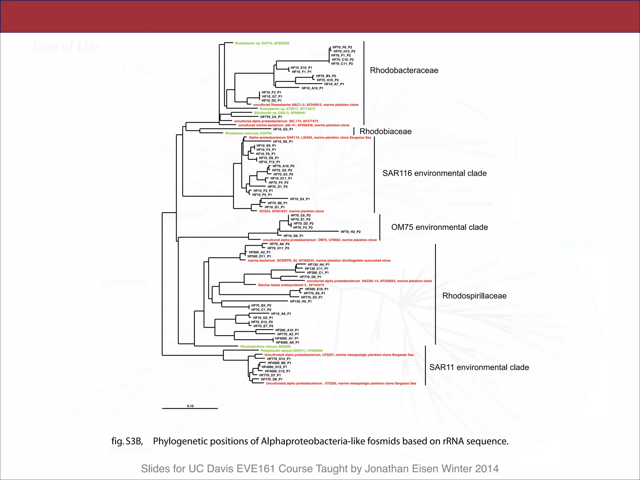 Slides for UC Davis EVE161 Course Taught by Jonathan Eisen Winter 2014
 