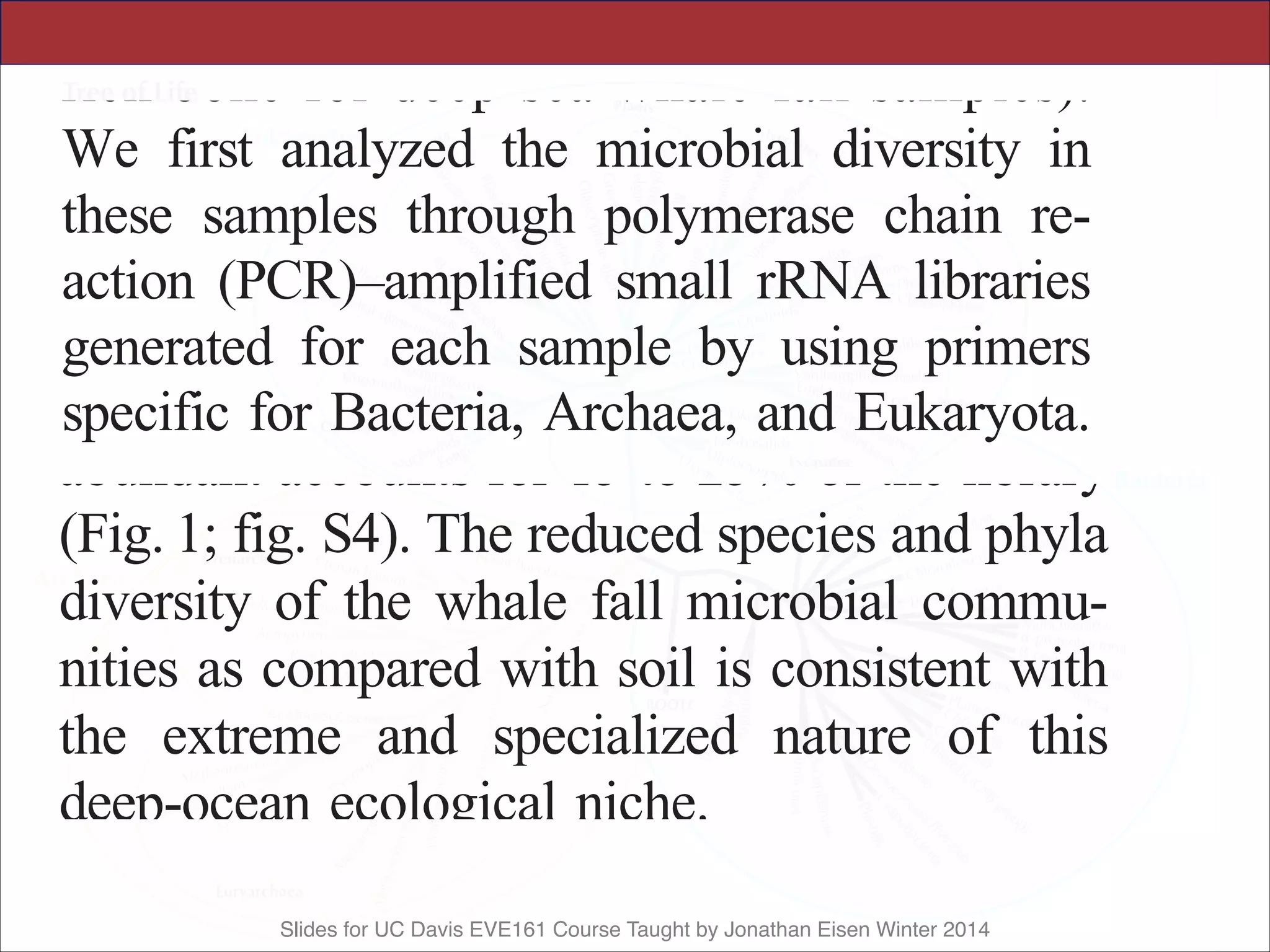 Slides for UC Davis EVE161 Course Taught by Jonathan Eisen Winter 2014
trient sources (plant material for soil and lipid-
rich bone for deep-sea whale fall samples).
We first analyzed the microbial diversity in
these samples through polymerase chain re-
action (PCR)–amplified small rRNA libraries
generated for each sample by using primers
specific for Bacteria, Archaea, and Eukaryota.
In the soil sample, a wide diversity of bacteria,
few archaeal species, and some fungi and
unicellular eukaryotes were found (fig. S2).
We sequenced a total of 1700 clones from two
independent libraries of PCR-amplified bacte-
rial 16S rRNA sequences prepared from the
deep
W
com
inser
light
soil s
of se
each
pred
samp
large
150,
exhi
ribotype accounts for 112 (6.6%) of the clones
(fig. S2A) when a 97% identity cutoff is used
and 81 (4.8%) when 98% identity is required.
The whale fall samples are both less diverse
and less evenly distributed than the soil cohort
and are estimated to contain between 25 and
150 distinct ribotypes of which the most
abundant accounts for 15 to 25% of the library
(Fig. 1; fig. S4). The reduced species and phyla
diversity of the whale fall microbial commu-
nities as compared with soil is consistent with
the extreme and specialized nature of this
deep-ocean ecological niche.
We explored the genomic diversity of the
Mb
ed i
mos
for
of t
ican
com
inve
ing
gen
gen
una
(13
 
