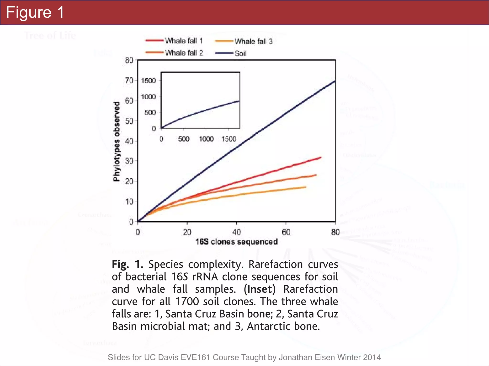 Slides for UC Davis EVE161 Course Taught by Jonathan Eisen Winter 2014
Figure 1 sequencing of environmental samples has high-throughput shotgun se
mental samples has recent
Fig. 1. Species complexity. Rarefaction curves
of bacterial 16S rRNA clone sequences for soil
and whale fall samples. (Inset) Rarefaction
curve for all 1700 soil clones. The three whale
falls are: 1, Santa Cruz Basin bone; 2, Santa Cruz
Basin microbial mat; and 3, Antarctic bone.
22 APRIL 2005 VOL 308 SCIEN554
 