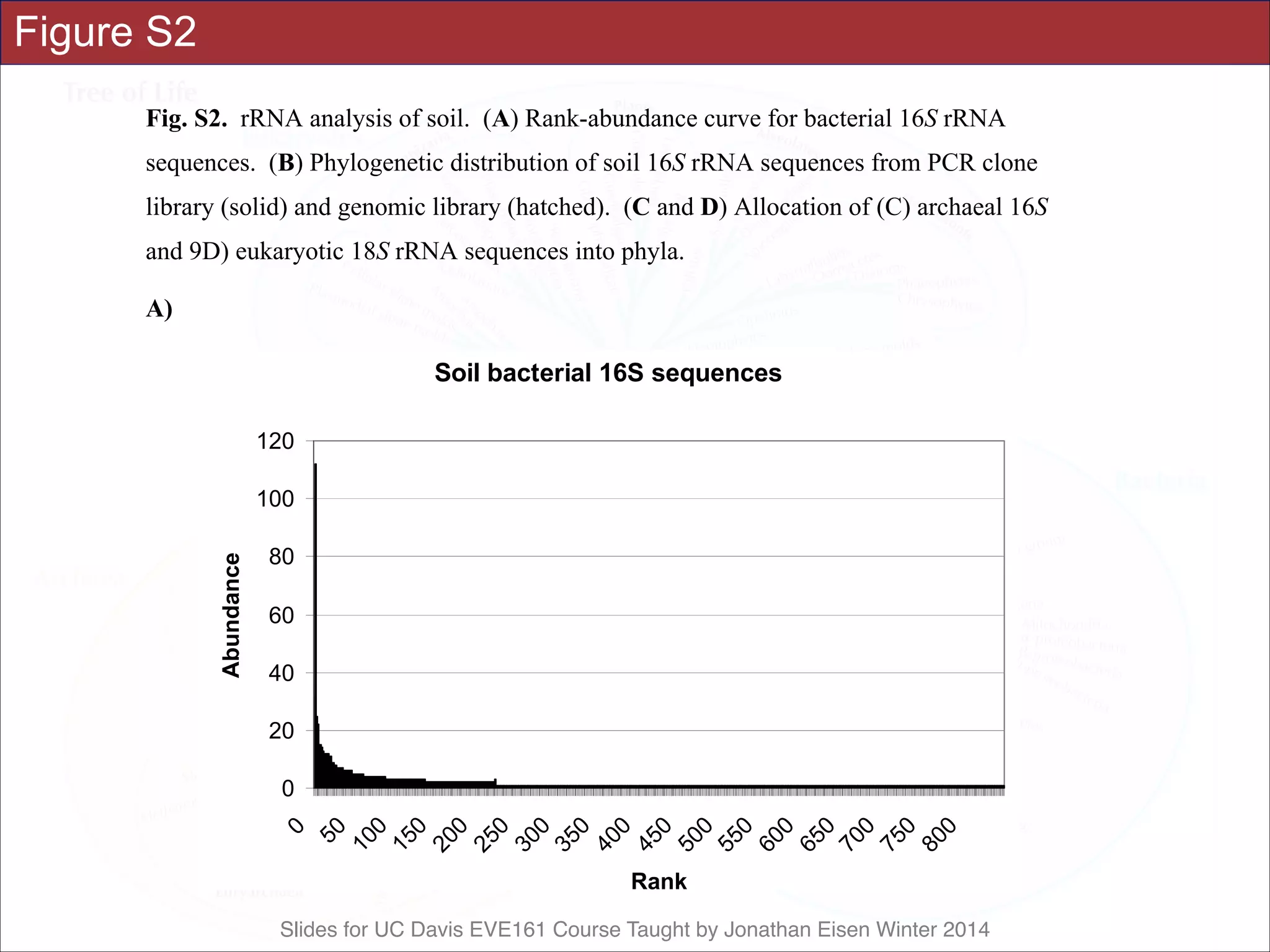 Slides for UC Davis EVE161 Course Taught by Jonathan Eisen Winter 2014
Figure S2 Science Supporting Online Material
Tringe et al., p. 12
Fig. S2. rRNA analysis of soil. (A) Rank-abundance curve for bacterial 16S rRNA
sequences. (B) Phylogenetic distribution of soil 16S rRNA sequences from PCR clone
library (solid) and genomic library (hatched). (C and D) Allocation of (C) archaeal 16S
and 9D) eukaryotic 18S rRNA sequences into phyla.
A)
Soil bacterial 16S sequences
0
20
40
60
80
100
120
0
50
100
150
200
250
300
350
400
450
500
550
600
650
700
750
800
Rank
Abundance
 