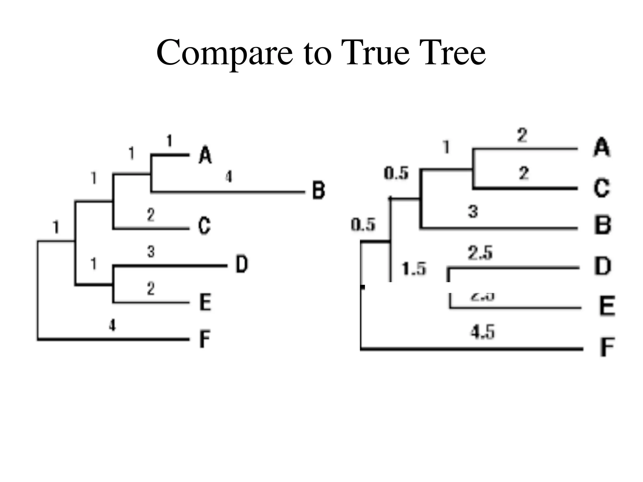 Compare to True Tree
 