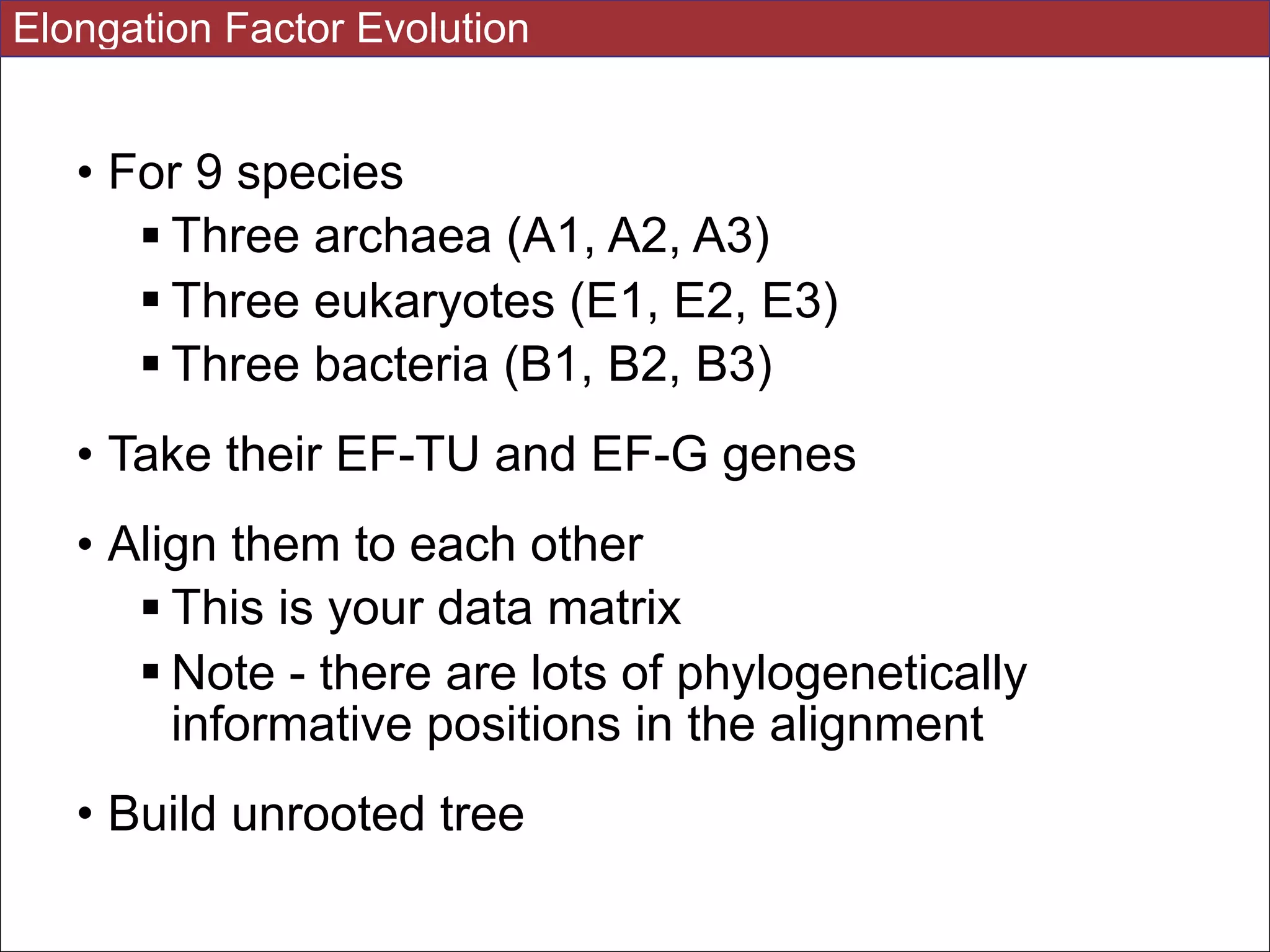 • For 9 species
! Three archaea (A1, A2, A3)
! Three eukaryotes (E1, E2, E3)
! Three bacteria (B1, B2, B3)
• Take their EF-TU and EF-G genes
• Align them to each other
! This is your data matrix
! Note - there are lots of phylogenetically
informative positions in the alignment
• Build unrooted tree
Elongation Factor Evolution
 