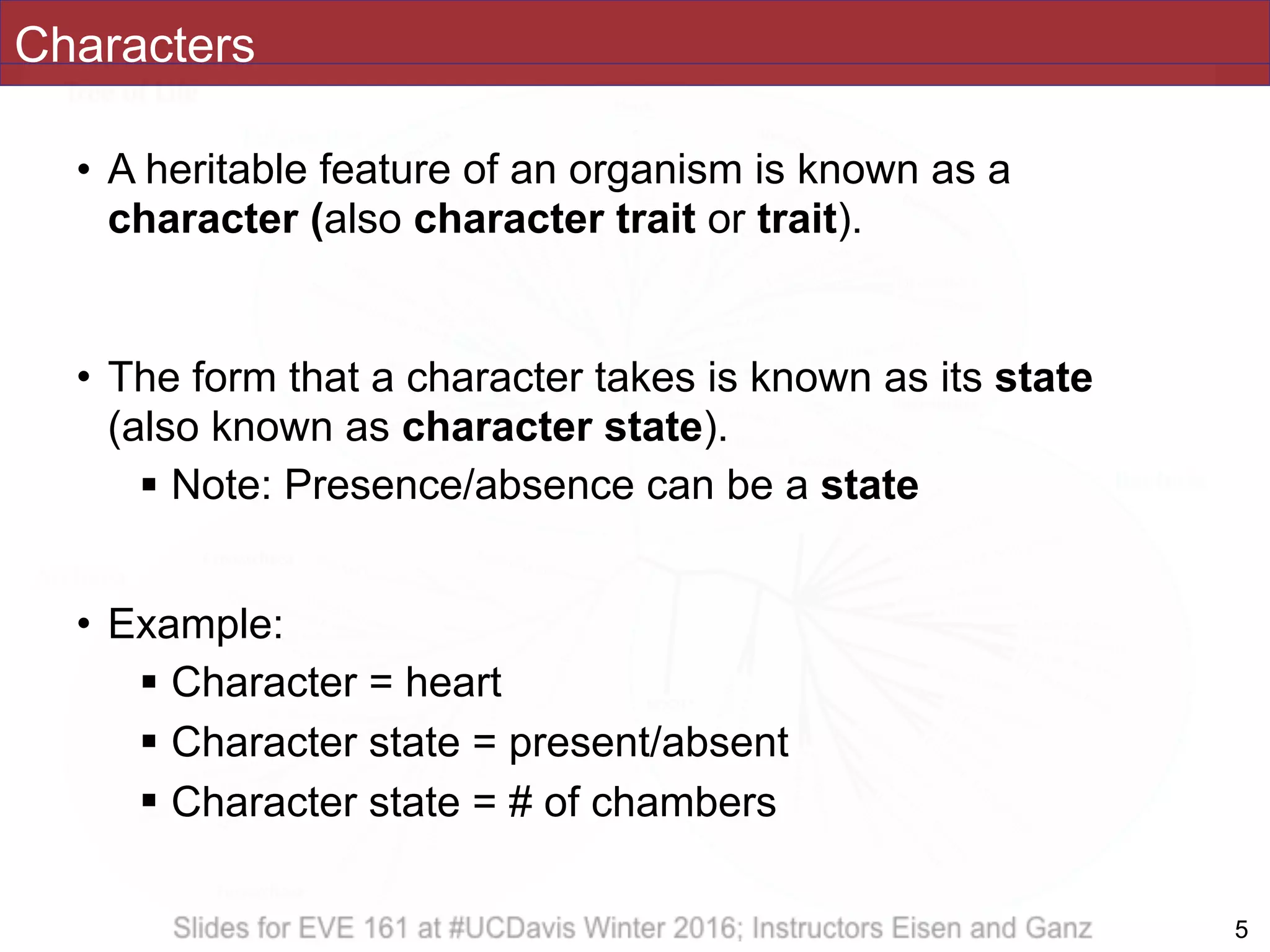 Characters
• A heritable feature of an organism is known as a
character (also character trait or trait).
• The form that a character takes is known as its state
(also known as character state).
! Note: Presence/absence can be a state
• Example:
! Character = heart
! Character state = present/absent
! Character state = # of chambers
!5
 