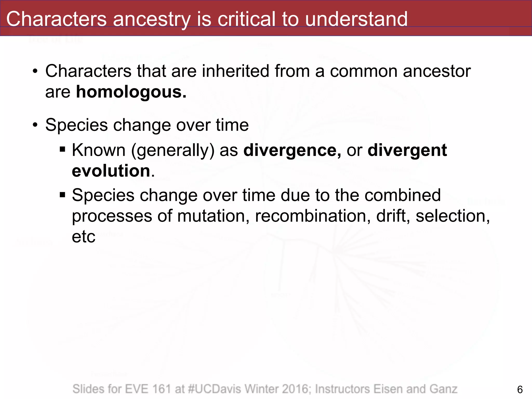 Characters ancestry is critical to understand
• Characters that are inherited from a common ancestor
are homologous.
• Species change over time
! Known (generally) as divergence, or divergent
evolution.
! Species change over time due to the combined
processes of mutation, recombination, drift, selection,
etc
!6
 