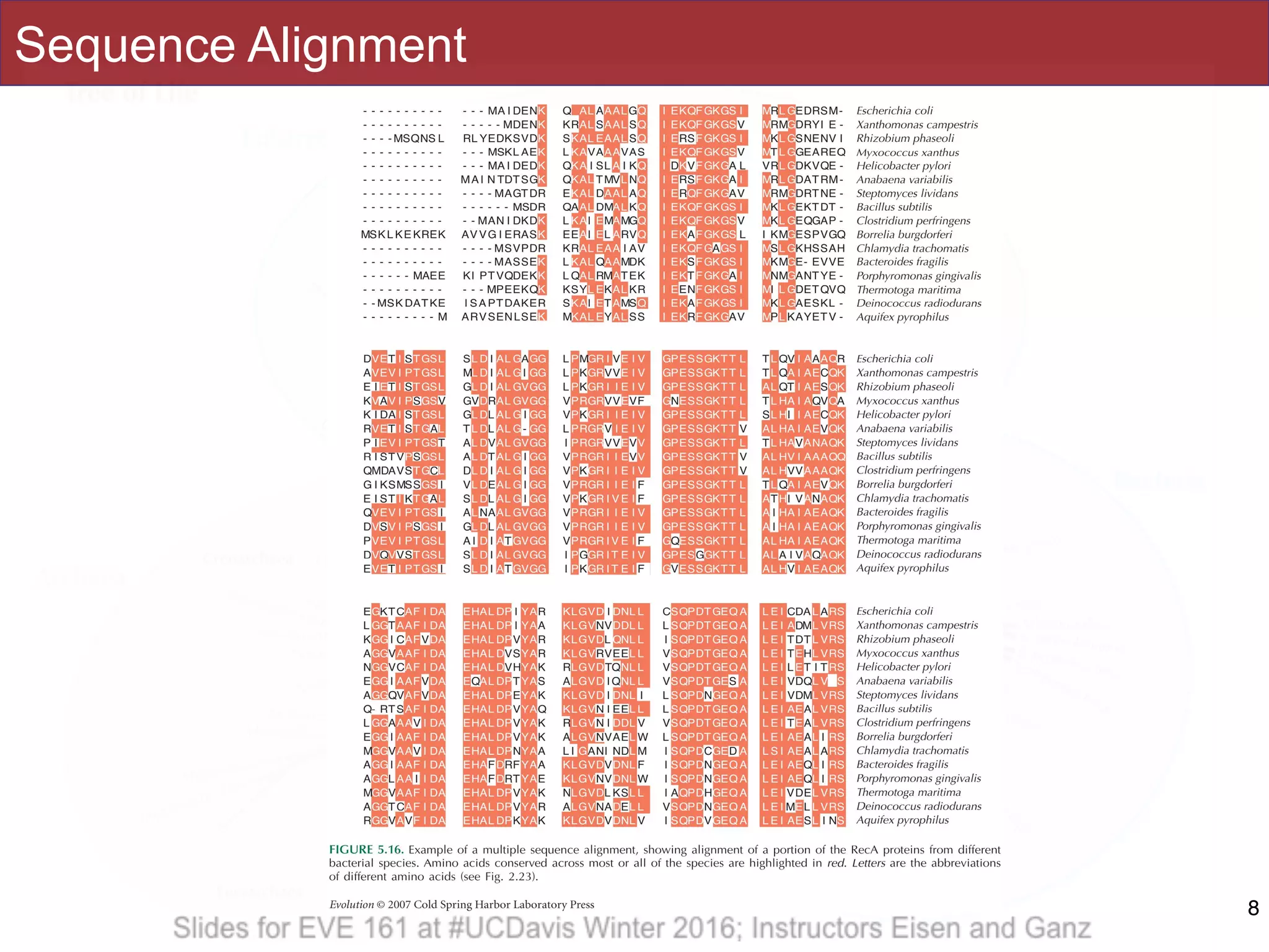 Sequence Alignment
8
 