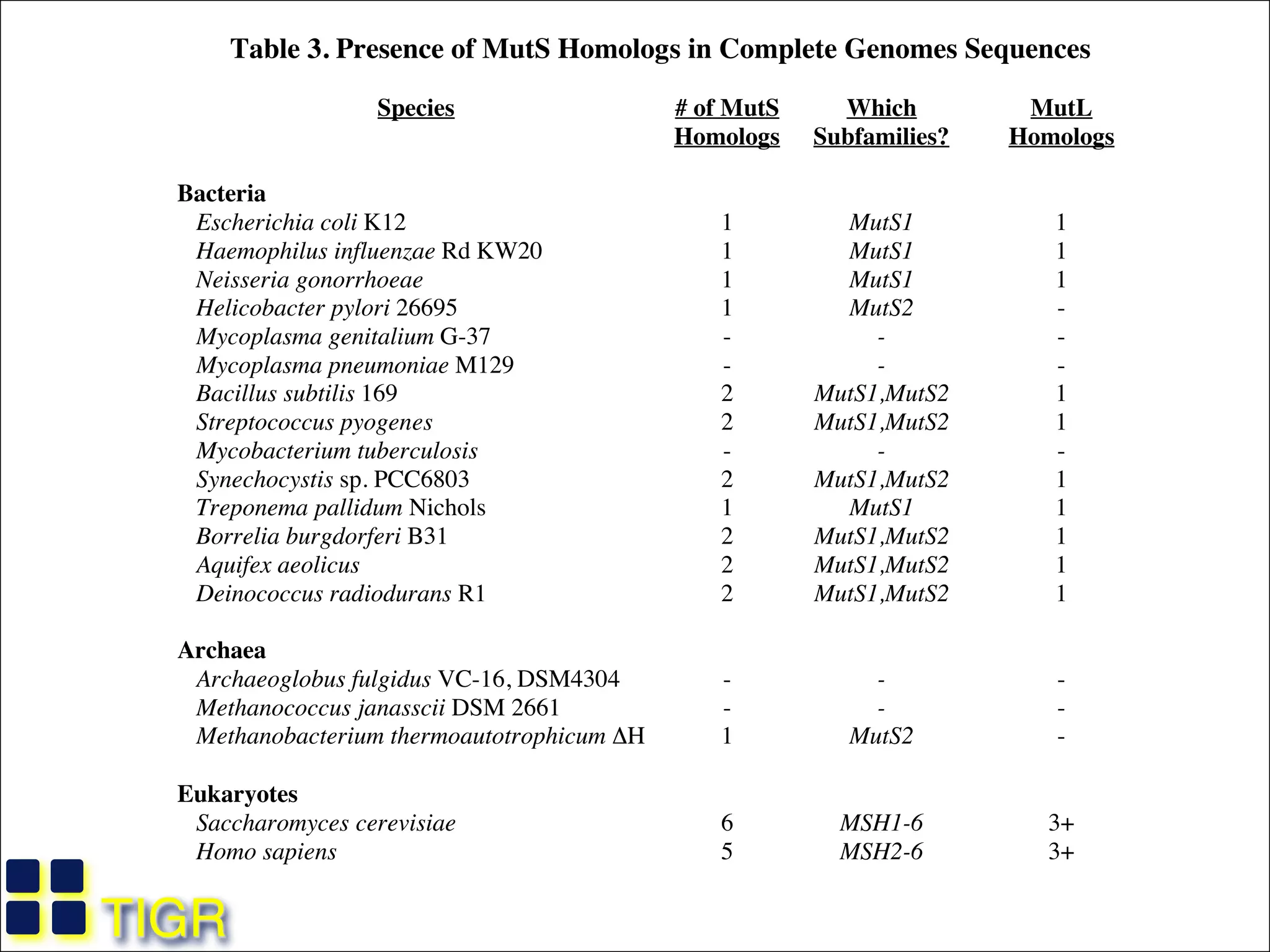 Slides for UC Davis EVE161 Course Taught by Jonathan Eisen Winter 2014TIGR
Table 3. Presence of MutS Homologs in Complete Genomes Sequences
Species # of MutS
Homologs
Which
Subfamilies?
MutL
Homologs
Bacteria
Escherichia coli K12 1 MutS1 1
Haemophilus influenzae Rd KW20 1 MutS1 1
Neisseria gonorrhoeae 1 MutS1 1
Helicobacter pylori 26695 1 MutS2 -
Mycoplasma genitalium G-37 - - -
Mycoplasma pneumoniae M129 - - -
Bacillus subtilis 169 2 MutS1,MutS2 1
Streptococcus pyogenes 2 MutS1,MutS2 1
Mycobacterium tuberculosis - - -
Synechocystis sp. PCC6803 2 MutS1,MutS2 1
Treponema pallidum Nichols 1 MutS1 1
Borrelia burgdorferi B31 2 MutS1,MutS2 1
Aquifex aeolicus 2 MutS1,MutS2 1
Deinococcus radiodurans R1 2 MutS1,MutS2 1
Archaea
Archaeoglobus fulgidus VC-16, DSM4304 - - -
Methanococcus janasscii DSM 2661 - - -
Methanobacterium thermoautotrophicum ΔH 1 MutS2 -
Eukaryotes
Saccharomyces cerevisiae 6 MSH1-6 3+
Homo sapiens 5 MSH2-6 3+
 