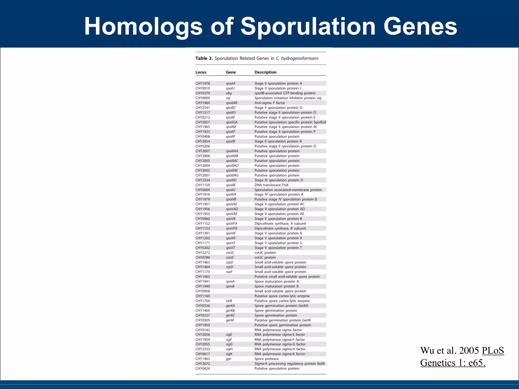 Slides for UC Davis EVE161 Course Taught by Jonathan Eisen Winter 2014
Homologs of Sporulation Genes
Wu et al. 2005 PLoS
Genetics 1: e65.
 