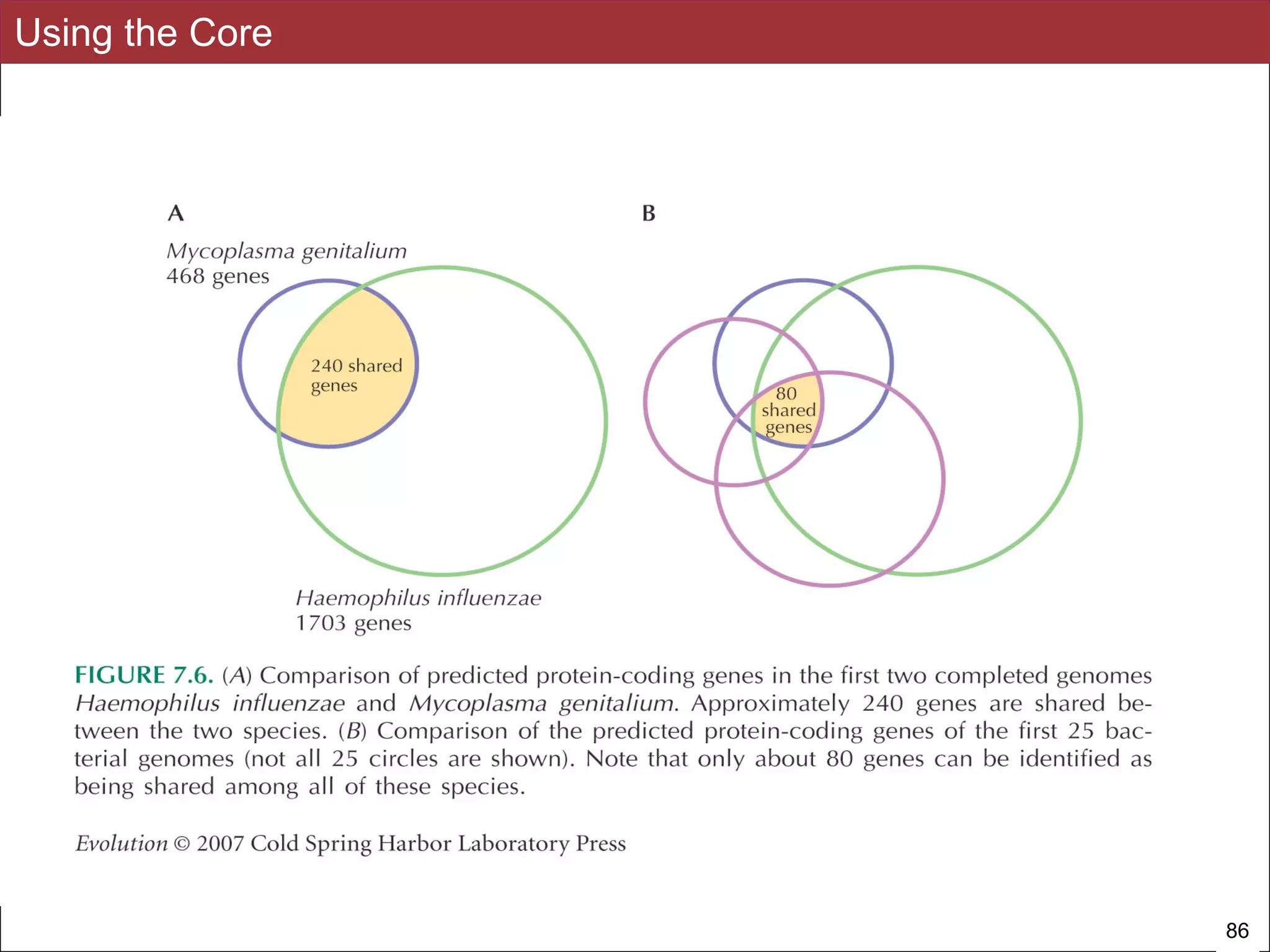 Slides for UC Davis EVE161 Course Taught by Jonathan Eisen Winter 2014
Using the Core
!86
 