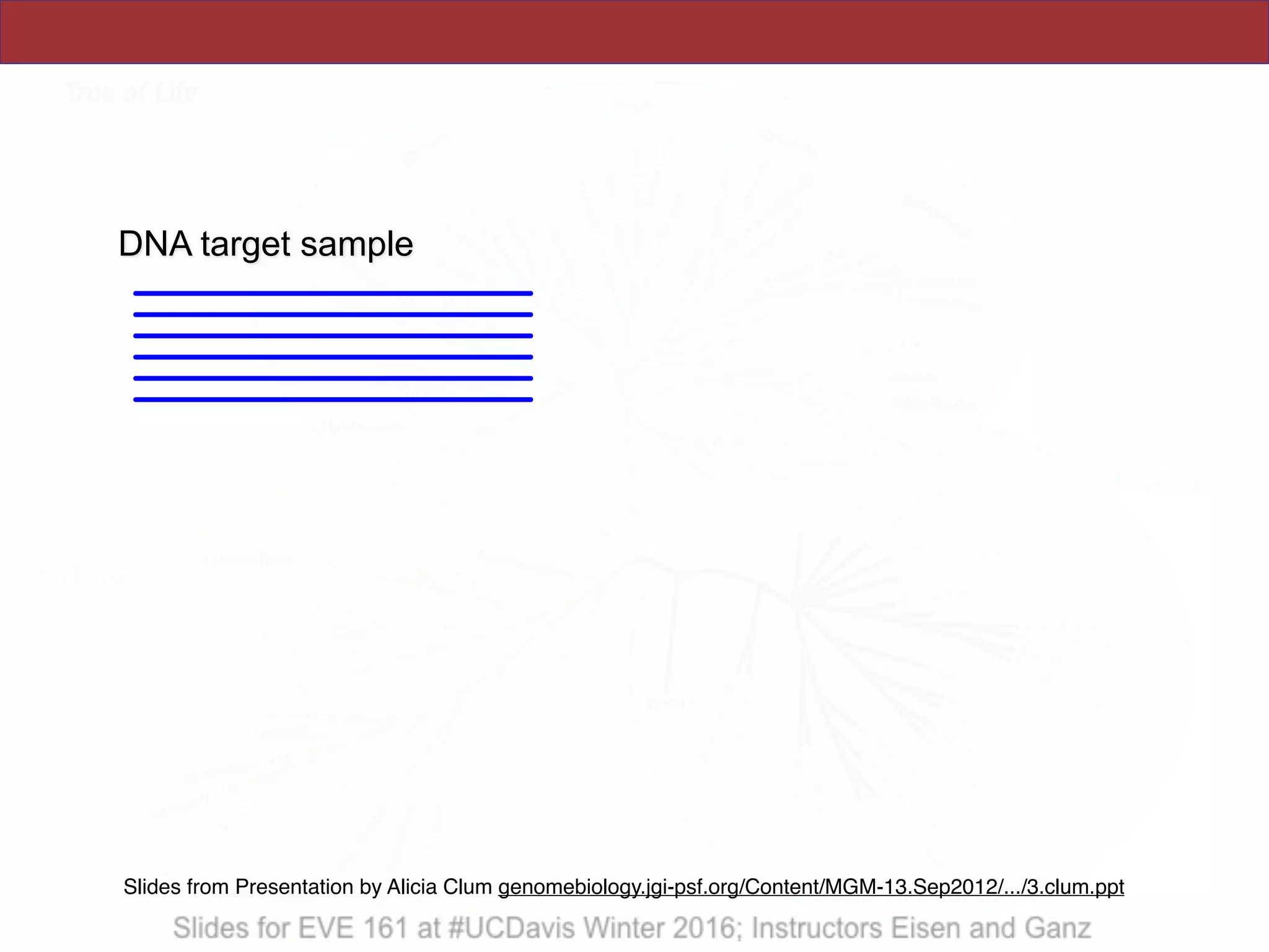 DNA target sample
Slides from Presentation by Alicia Clum genomebiology.jgi-psf.org/Content/MGM-13.Sep2012/.../3.clum.ppt
 