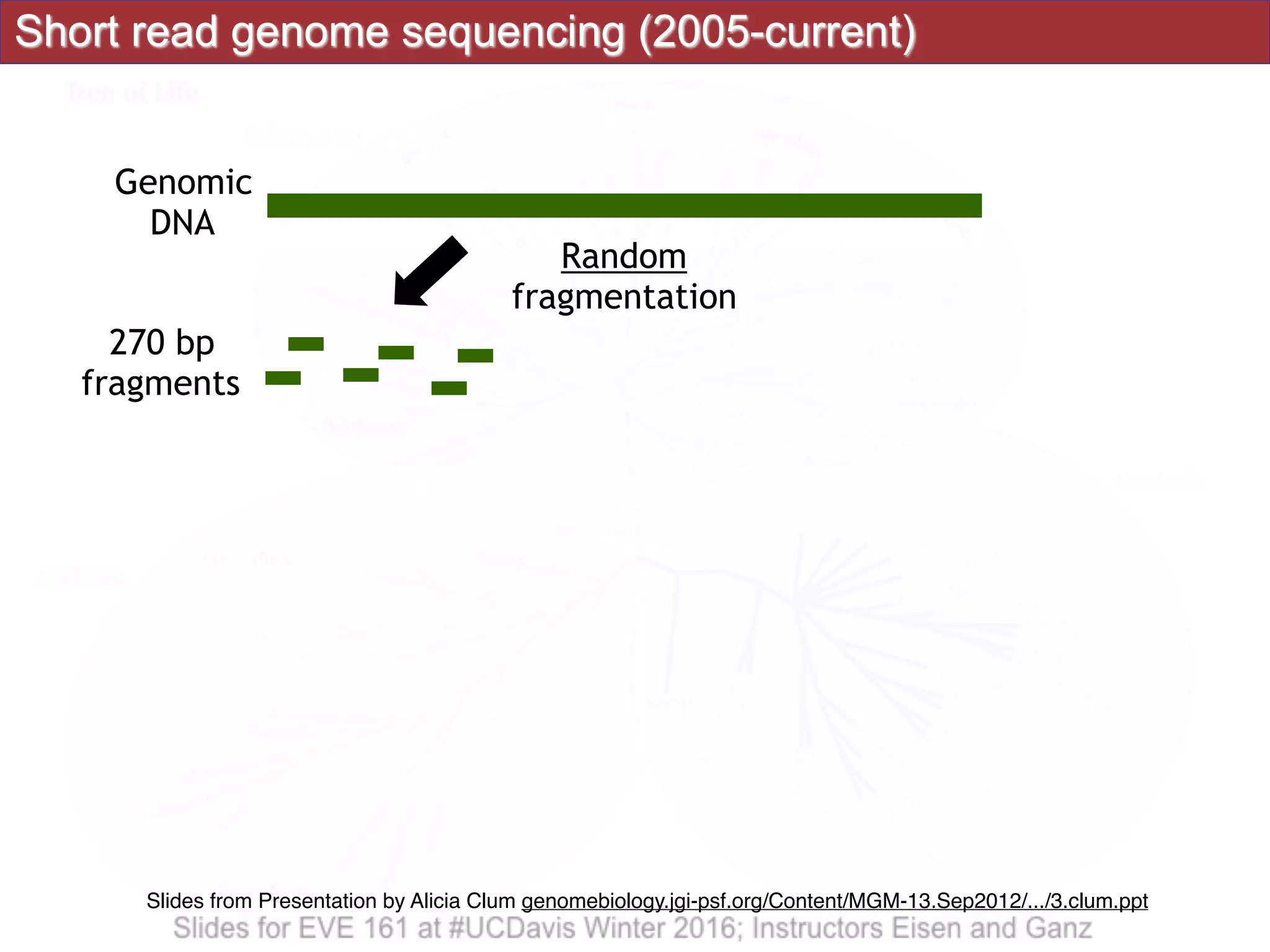 Short read genome sequencing (2005-current)
Genomic
DNA
270 bp
fragments
Random
fragmentation
Slides from Presentation by Alicia Clum genomebiology.jgi-psf.org/Content/MGM-13.Sep2012/.../3.clum.ppt
 