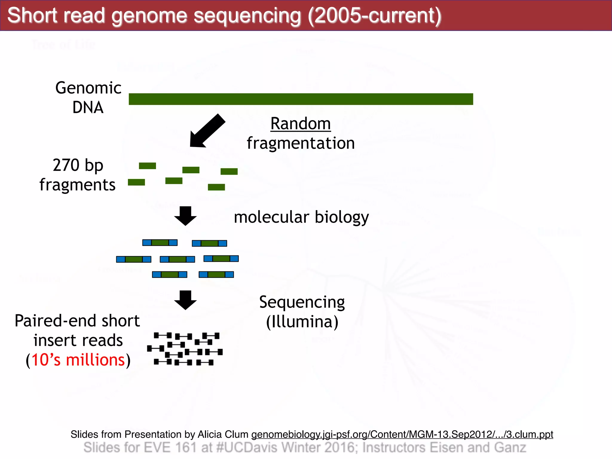Short read genome sequencing (2005-current)
Genomic
DNA
270 bp
fragments
Random
fragmentation
Paired-end short
insert reads
(10’s millions)
molecular biology
Sequencing
(Illumina)
Slides from Presentation by Alicia Clum genomebiology.jgi-psf.org/Content/MGM-13.Sep2012/.../3.clum.ppt
 