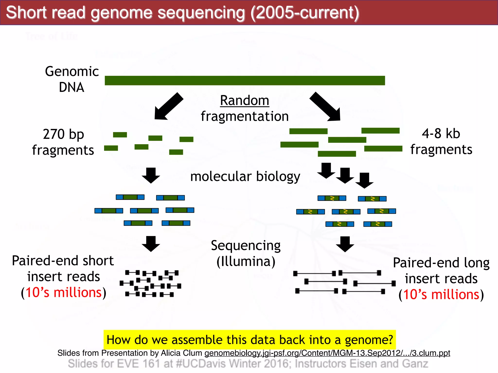 Short read genome sequencing (2005-current)
How do we assemble this data back into a genome?
Genomic
DNA
270 bp
fragments
Random
fragmentation
4-8 kb
fragments
Paired-end long
insert reads
(10’s millions)
Paired-end short
insert reads
(10’s millions)
molecular biology
Sequencing
(Illumina)
Slides from Presentation by Alicia Clum genomebiology.jgi-psf.org/Content/MGM-13.Sep2012/.../3.clum.ppt
 