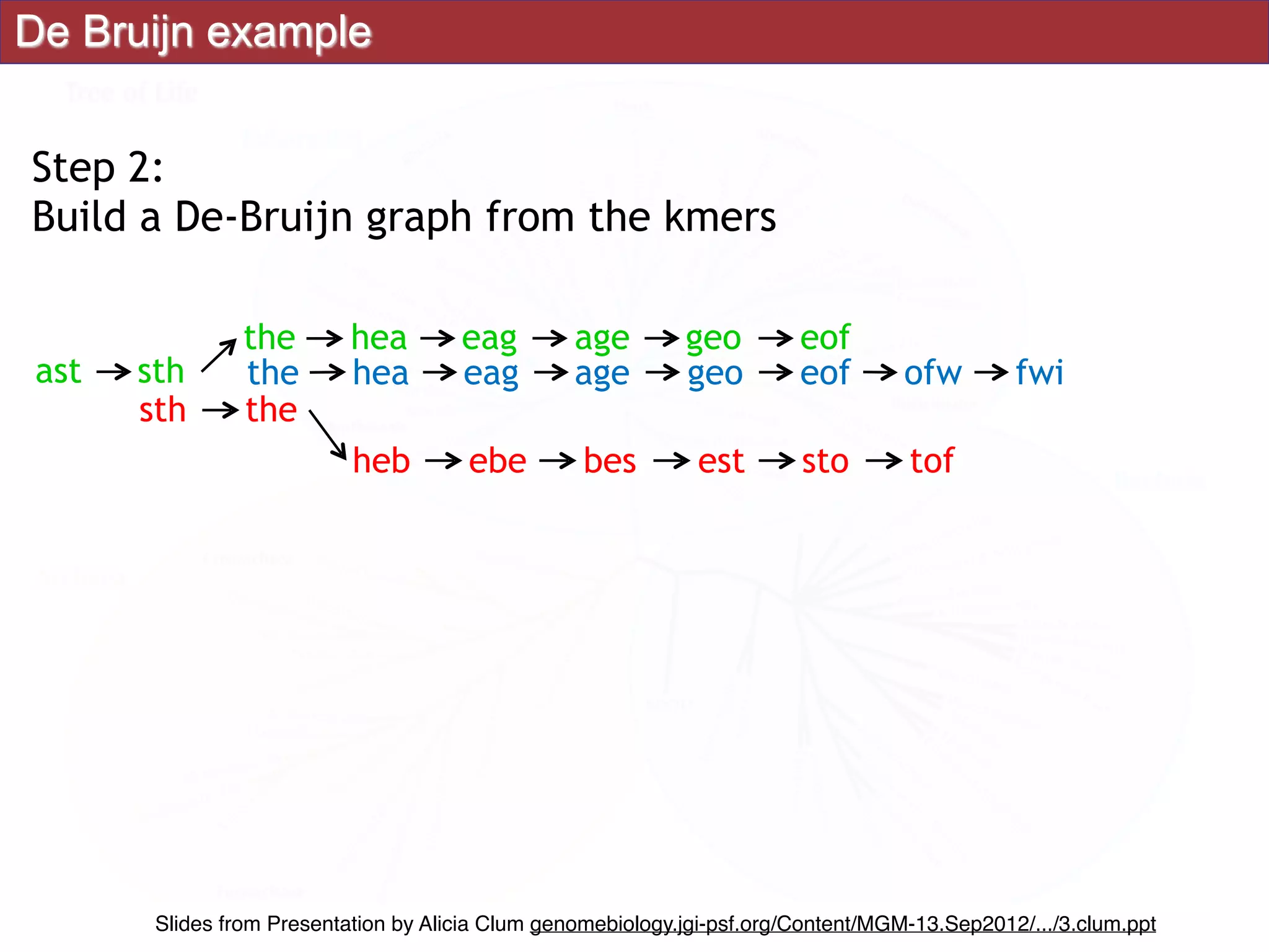 De Bruijn example
Step 2:
Build a De-Bruijn graph from the kmers
age geo eof ofw fwihea eagthe
sth the
heb ebe bes est sto tof
ast sth
the hea eag age geo eof
Slides from Presentation by Alicia Clum genomebiology.jgi-psf.org/Content/MGM-13.Sep2012/.../3.clum.ppt
 