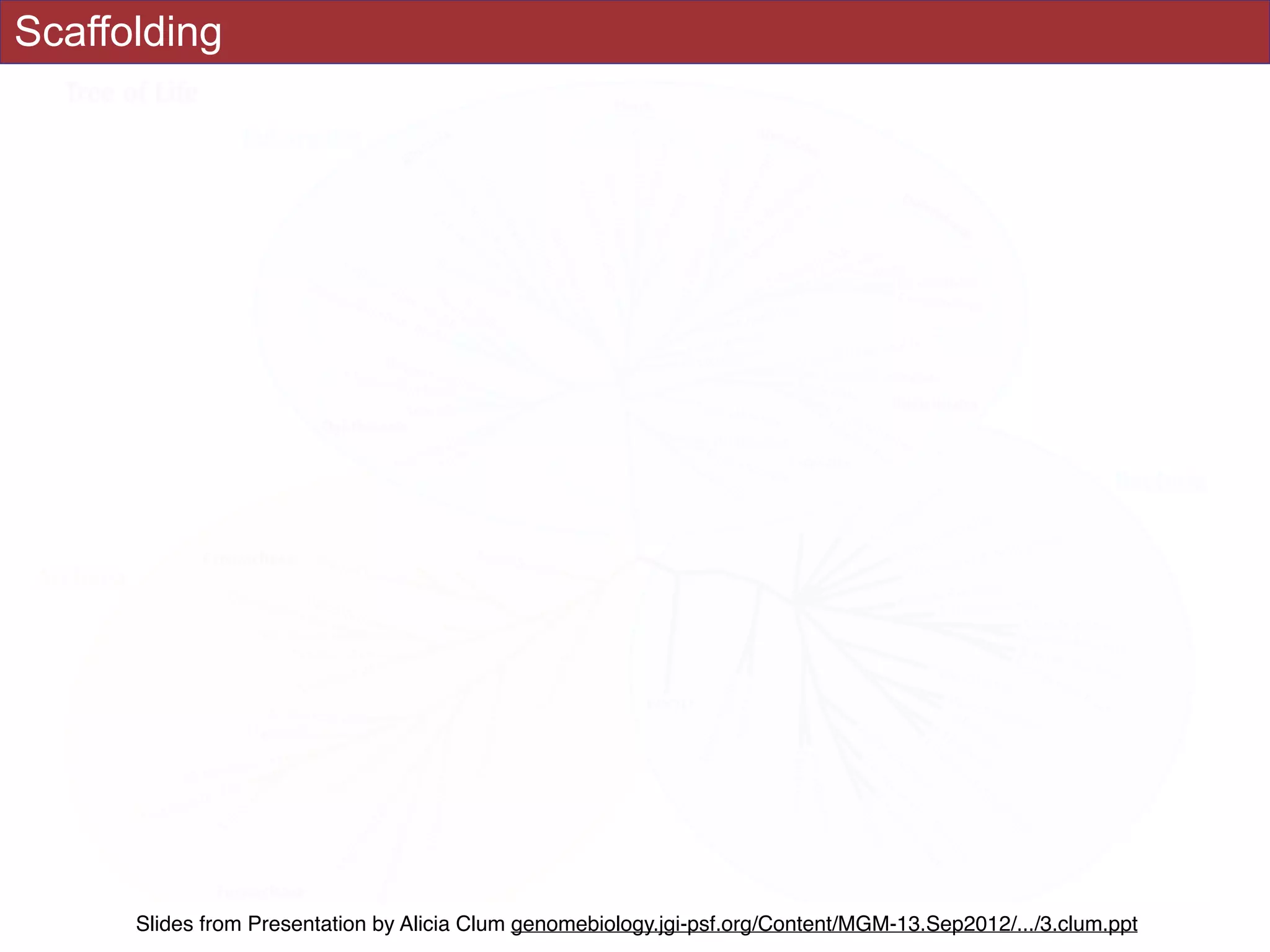 Scaffolding
Slides from Presentation by Alicia Clum genomebiology.jgi-psf.org/Content/MGM-13.Sep2012/.../3.clum.ppt
 
