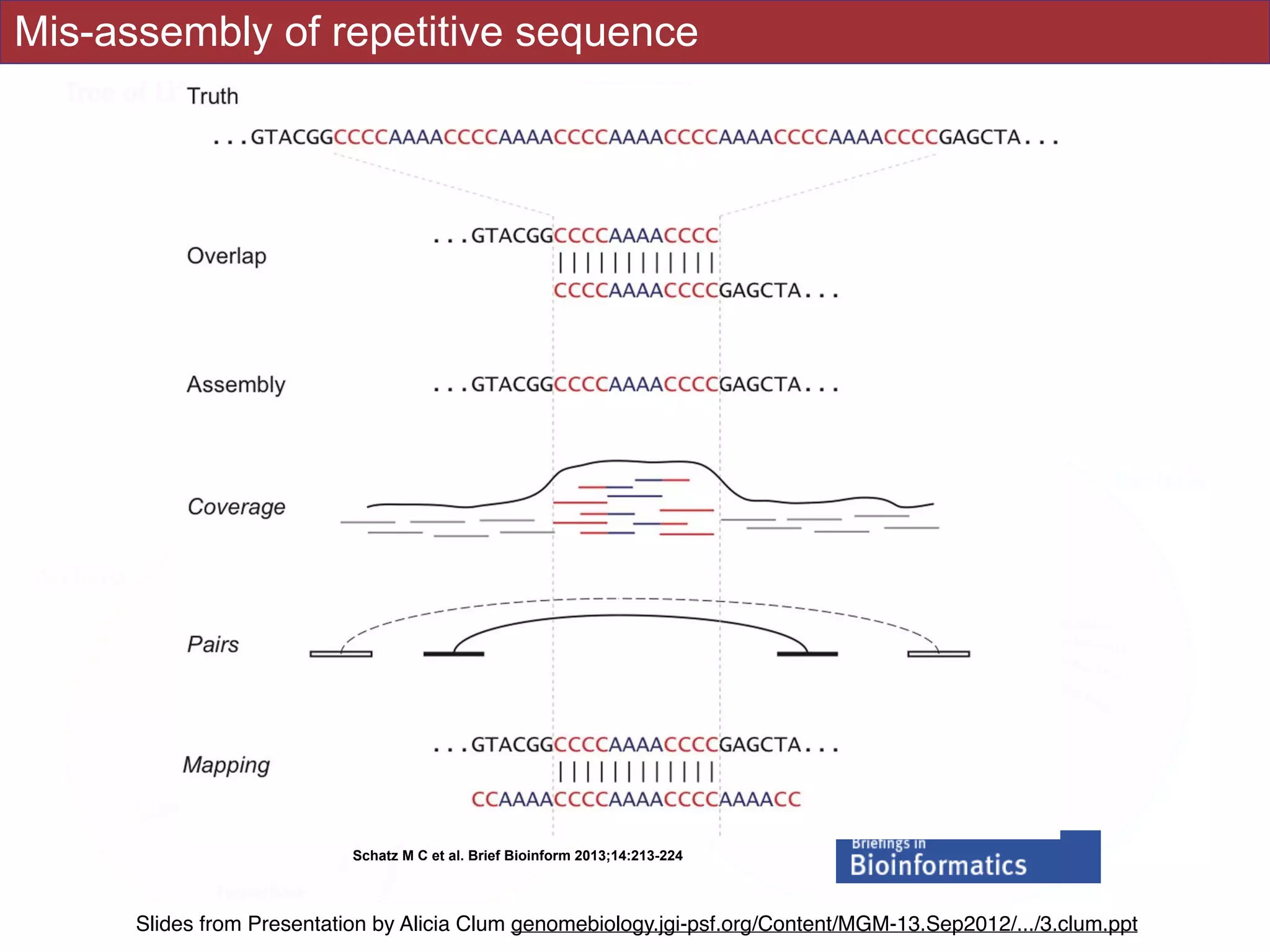 Mis-assembly of repetitive sequence
Schatz M C et al. Brief Bioinform 2013;14:213-224
Slides from Presentation by Alicia Clum genomebiology.jgi-psf.org/Content/MGM-13.Sep2012/.../3.clum.ppt
 