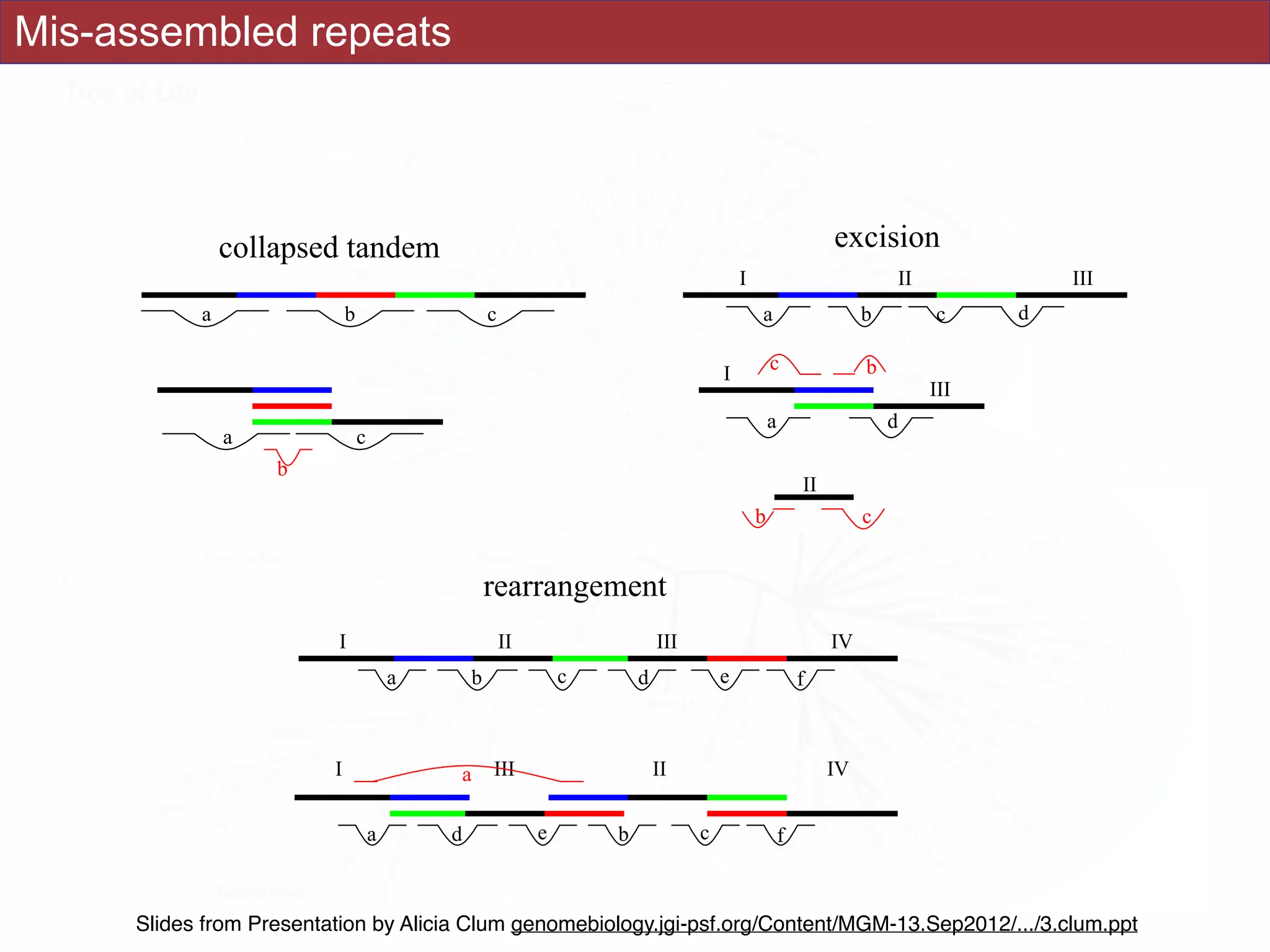 Mis-assembled repeats
a b c
a c
b
a b c d
I II III
I
II
III
a
bc
d
b c
a b dc e f
I II III IV
I III II IV
a d be c f
a
collapsed tandem excision
rearrangement
Slides from Presentation by Alicia Clum genomebiology.jgi-psf.org/Content/MGM-13.Sep2012/.../3.clum.ppt
 