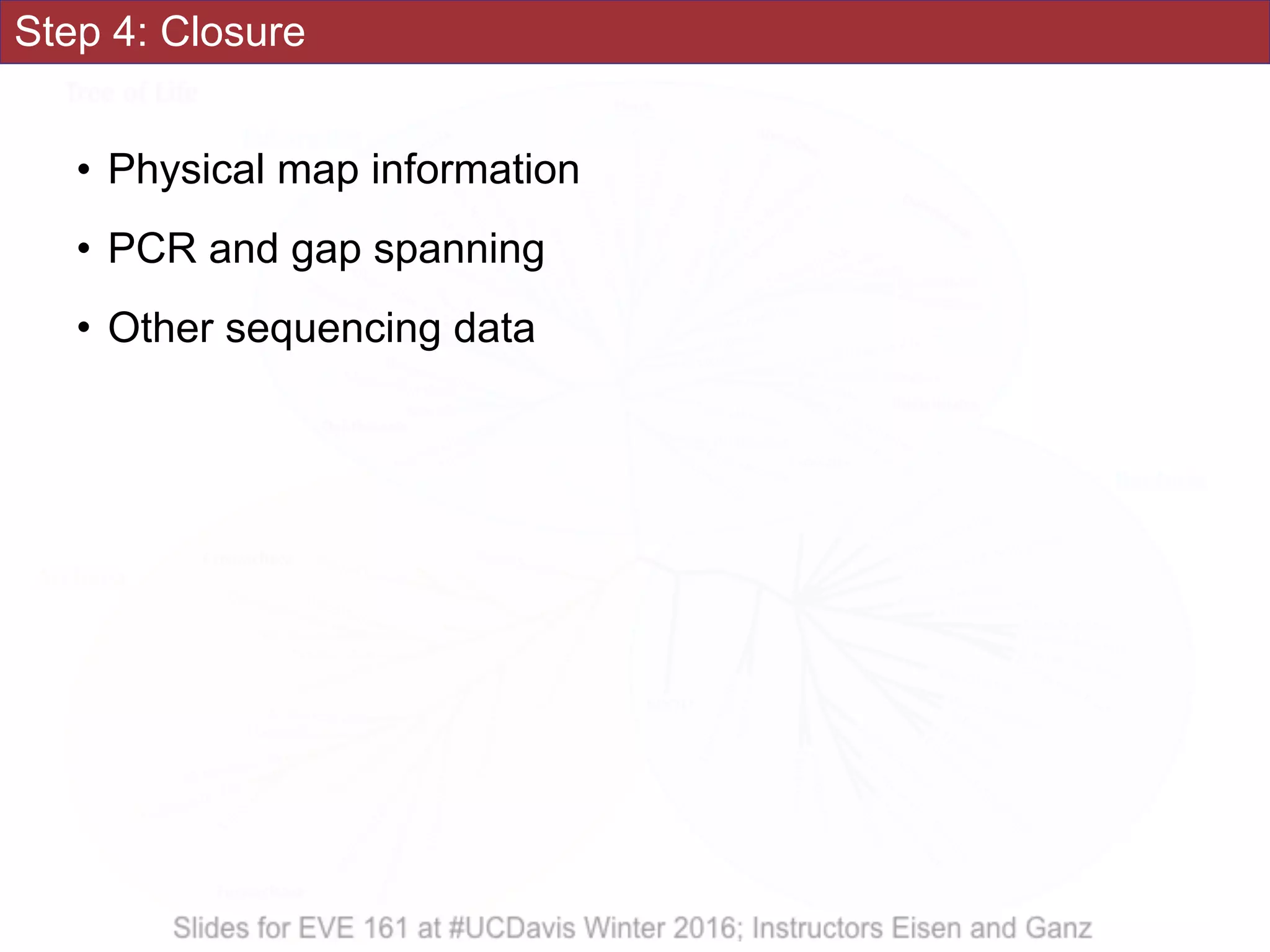 Step 4: Closure
• Physical map information
• PCR and gap spanning
• Other sequencing data
 