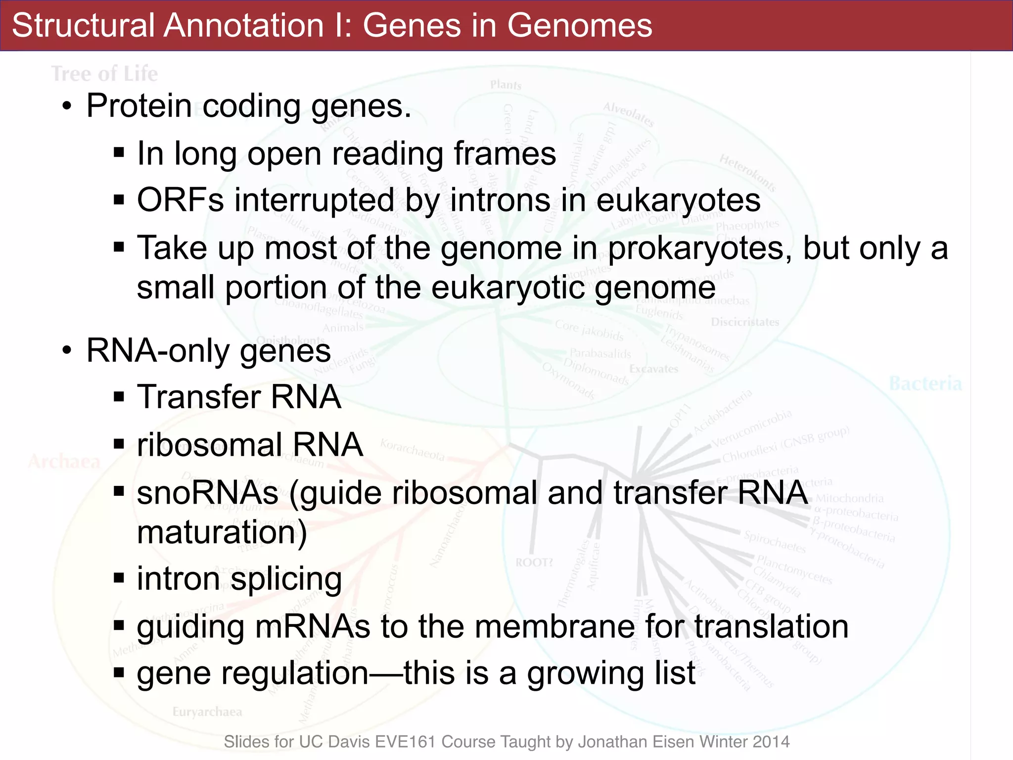 Slides for UC Davis EVE161 Course Taught by Jonathan Eisen Winter 2014
Structural Annotation I: Genes in Genomes
• Protein coding genes.
! In long open reading frames
! ORFs interrupted by introns in eukaryotes
! Take up most of the genome in prokaryotes, but only a
small portion of the eukaryotic genome
• RNA-only genes
! Transfer RNA
! ribosomal RNA
! snoRNAs (guide ribosomal and transfer RNA
maturation)
! intron splicing
! guiding mRNAs to the membrane for translation
! gene regulation—this is a growing list
 