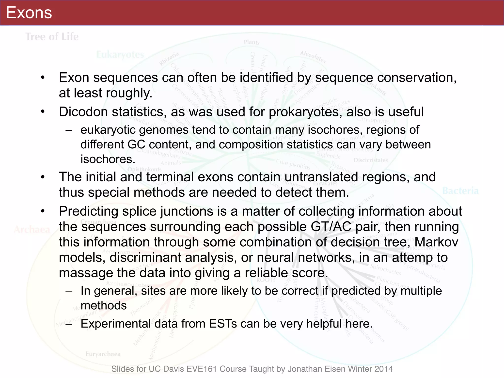 Slides for UC Davis EVE161 Course Taught by Jonathan Eisen Winter 2014
Exons
• Exon sequences can often be identified by sequence conservation,
at least roughly.
• Dicodon statistics, as was used for prokaryotes, also is useful
– eukaryotic genomes tend to contain many isochores, regions of
different GC content, and composition statistics can vary between
isochores.
• The initial and terminal exons contain untranslated regions, and
thus special methods are needed to detect them.
• Predicting splice junctions is a matter of collecting information about
the sequences surrounding each possible GT/AC pair, then running
this information through some combination of decision tree, Markov
models, discriminant analysis, or neural networks, in an attemp to
massage the data into giving a reliable score.
– In general, sites are more likely to be correct if predicted by multiple
methods
– Experimental data from ESTs can be very helpful here.
 