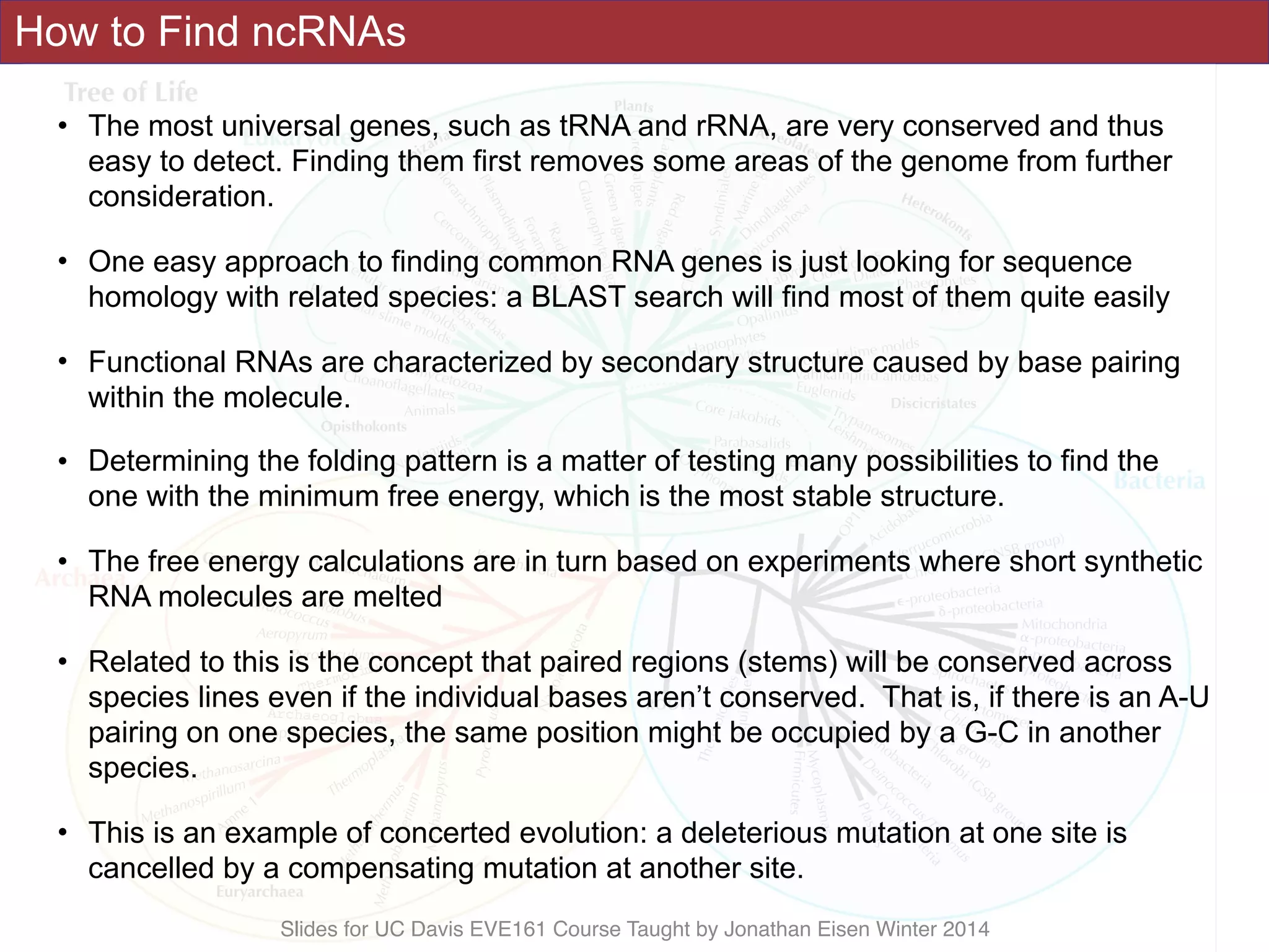 Slides for UC Davis EVE161 Course Taught by Jonathan Eisen Winter 2014
How to Find ncRNAs
• The most universal genes, such as tRNA and rRNA, are very conserved and thus
easy to detect. Finding them first removes some areas of the genome from further
consideration.
• One easy approach to finding common RNA genes is just looking for sequence
homology with related species: a BLAST search will find most of them quite easily
• Functional RNAs are characterized by secondary structure caused by base pairing
within the molecule.
• Determining the folding pattern is a matter of testing many possibilities to find the
one with the minimum free energy, which is the most stable structure.
• The free energy calculations are in turn based on experiments where short synthetic
RNA molecules are melted
• Related to this is the concept that paired regions (stems) will be conserved across
species lines even if the individual bases aren’t conserved. That is, if there is an A-U
pairing on one species, the same position might be occupied by a G-C in another
species.
• This is an example of concerted evolution: a deleterious mutation at one site is
cancelled by a compensating mutation at another site.
 