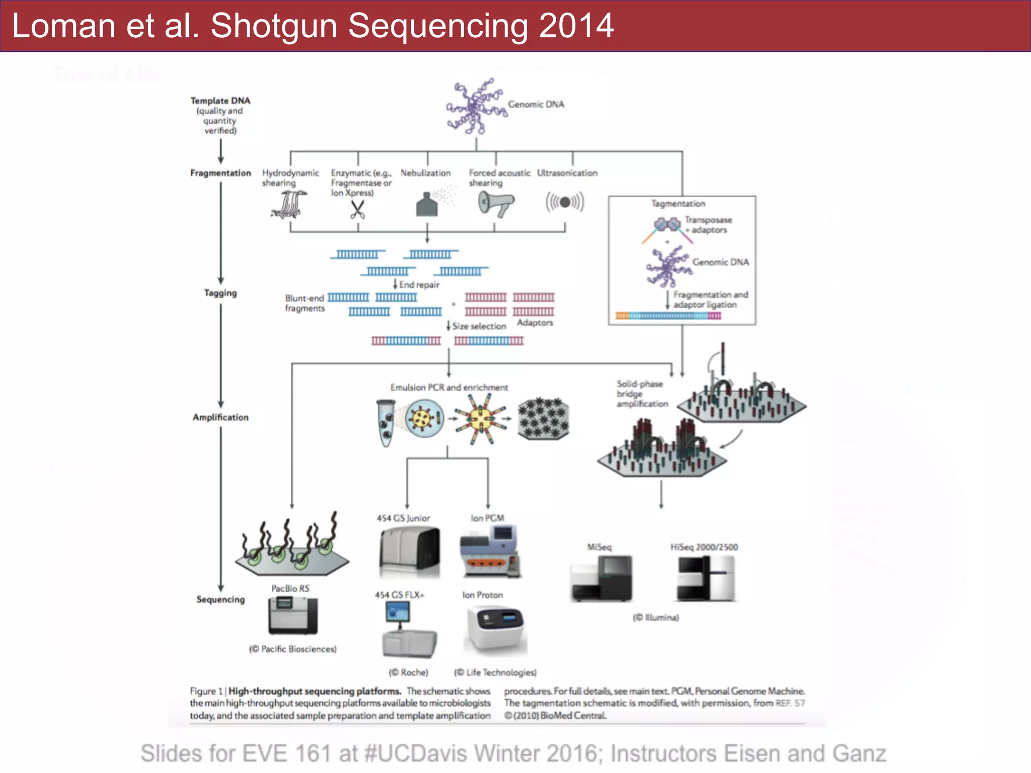 Loman et al. Shotgun Sequencing 2014
 