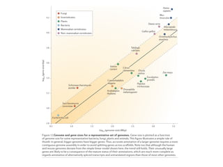 Nature Reviews | Genetics
Escherichia coli
Saccharomyces
cerevisiae
Schizosaccharomyces
pombe
Caenorhabditis
elegans
Arabidopsis
thaliana
Volvox
carteri
Drosophila
melanogaster
Citrus
clementina
Takifugu
rubripes
Oryza
sativa
Populus
trichocarpa
Eucalyptus
grandis
Gallus gallus
Danio rerio
Ornithorhynchus
anatinus
Zea mays
Ailuropoda
melanoleuca
Mus
musculus
Homo
sapiens
1.0 1.5 2.0 2.5 3.0 3.50.5
3.0
2.8
3.2
3.4
3.6
3.8
4.0
4.2
log10 (genome size) (Mbp)
log10(genesize)(bp)
Fungi
Invertebrates
Plants
Bacteria
Mammalian vertebrates
Non−mammalian vertebrates
Figure 1 | Genome and gene sizes for a representative set of genomes. Gene size is plotted as a function
of genome size for some representative bacteria, fungi, plants and animals. This figure illustrates a simple rule of
thumb: in general, bigger genomes have bigger genes. Thus, accurate annotation of a larger genome requires a more
contiguous genome assembly in order to avoid splitting genes across scaffolds. Note too that although the human
and mouse genomes deviate from the simple linear model shown here, the trend still holds. Their unusually large
genes are likely to be a consequence of the mature status of their annotations, which are much more complete as
regards annotation of alternatively spliced transcripts and untranslated regions than those of most other genomes.
 
