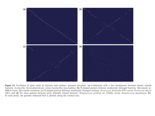 GC- and AT-skews, i.e. excess of purines or pyrimidines
(violation of Chargaﬀ’s second parity rule). The underly-
ing causes of the GC/AT-skews are thought to reﬂect an
interplay of selective and mutational forces, i.e. selection
One of the earliest and central concepts of bacterial
genetics is the operon, a group of cotranscribed and coreg-
ulated genes (82). Although enormous amount of varia-
tion on the simple theme of regulation by the Lac
(a)
(c)
(b)
(d)
Figure 13. Evolution of gene order in bacteria and archaea: genomic dot-plots. (a) Colinearity with a few breakpoints between closely related
bacteria: Geobacillus thermodenitriﬁcans versus Geobacillus kaustophilus; (b) X-shaped pattern between moderately diverged bacteria: Shewanella sp.
MR-4 versus Shewanella oneidensis; (c) X-shaped pattern between moderately diverged archaea: Pyrococcus horikoshii OT3 versus Pyrococcus abyssi
GE5; and (d) No clear pattern between more distantly related bacteria: Streptococcus gordonii str. Challis versus Streptococcus pneumoniae R6.
In each panel, the genome indicated ﬁrst is plotted along the vertical axis.
6698 Nucleic Acids Research, 2008, Vol. 36, No. 21
 