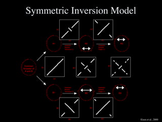 Slides for UC Davis EVE161 Course Taught by Jonathan Eisen Winter 2014
B1
A1
B2
A2
B3
A3
B3
B2
24
23
22
21
20
19
18171615
14
13
12
11
10
9
6
7
258
26
27
28
29
30
1 2 3
4
5
3132
B1
3132
6
7
8
9
10
11
12
13
14
15161718
19
20
21
22
23
24
25
26
27
28
29
30
1 2 3
4
5
3132
B3 24
23
22
21
20
19
18171615
14
13
12
11
10
9
6
7
258
26
27
28
29
3
3231 30
4
5
2 1
A1
3132
6
7
8
9
10
11
12
13
14
15161718
19
20
21
22
23
24
25
26
27
28
29
30
1 2 3
4
5
3132
A2
3132
6
7
8
9
10
11
12
13
19
18171615
14
20
21
22
23
24
25
26
27
28
29
30
1 2 3
4
5
3132
A3
2
6
7
8
9
10
11
12
13
19
18171615
14
20
21
22
23
24
25
26
27
5
4
3 31 30
29
28
1 32
B2
Inversion
Around
Terminus (*)
Inversion
Around
Terminus (*)
Inversion
Around
Origin (*)
Inversion
Around
Origin (*)
* *
* *
* *
* *
Common
Ancestor of
A and B
3132
6
7
8
9
10
11
12
13
14
15161718
19
20
21
22
23
24
25
26
27
28
29
30
1 2
3
4
5
3132
A2
A1 A2
A3
B2
B1
Symmetric Inversion Model
Eisen et al., 2000
 