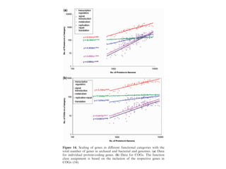 velopment, the genome of the
s found to contain only 170
n any estimates of the minimal
er, this unusual organism lacks
ent in all other known bacteria
roteins that appear to be indis-
minoacyl-tRNA synthetases. At
xplanation is that this organism
teins from the host cell, thereby
traint aﬀecting other prokaryo-
s, even intracellular ones (133).
ella is a case of a bacterium-to-
gress (142). The minimal com-
c organism growing on a rich
n at approximately 250 genes.
rrently known free-living organ-
.3 Mb in size, with 1100 genes
n these genomes contain up to
erally, nonessential, it is reason-
gene set for a free-living organ-
d number of approximately 1000
wide spread of nonorthologous
mal prokaryotic gene set is not
nes. Instead, there can be a large
sms with diverse life styles but,
of genes (135).
tions, perhaps, are what deter-
y of bacterial and archaeal gen-
g gives the upper bound to this
s problem, we turn to the ana-
functional categories of genes
already referred to in the above
uction systems. As ﬁrst noticed
ver et al. (143) in the course of
e bacterium Pseudomonas aeru-
ail by Van Nimwegen (130) and
ly conﬁrmed and explored by
showed an exponent greater than one (Figure 14b).
Figure 14. Scaling of genes in diﬀerent functional categories with the
total number of genes in archaeal and bacterial and genomes. (a) Data
for individual protein-coding genes. (b) Data for COGs. The function
class assignment is based on the inclusion of the respective genes in
COGs (34).
byguestonFebruary10,2016p://nar.oxfordjournals.org/
 