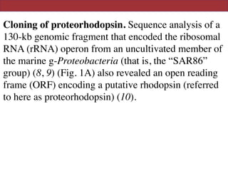 Cloning of proteorhodopsin. Sequence analysis of a
130-kb genomic fragment that encoded the ribosomal
RNA (rRNA) operon from an uncultivated member of
the marine g-Proteobacteria (that is, the “SAR86”
group) (8, 9) (Fig. 1A) also revealed an open reading
frame (ORF) encoding a putative rhodopsin (referred
to here as proteorhodopsin) (10).
 