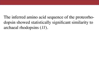The inferred amino acid sequence of the proteorho-
dopsin showed statistically signiﬁcant similarity to
archaeal rhodopsins (11).
 