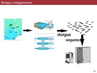 Shotgun metagenomics
shotgun
sequence
!64
 