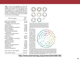 frames (5). A total of 69,901 novel genes be-
longing to 15,601 single link clusters were iden-
tified. The predicted genes were categorized
Fig. 5. Prochlorococcus-related scaffold 2223290 illustrates the assembly of a broad commu-
nity of closely related organisms, distinctly nonpunctate in nature. The image represents (A)
global structure of Scaffold 2223290 with respect to assembly and (B) a sample of the multiple
sequence alignment. Blue segments, contigs; green segments, fragments; and yellow segments,
stages of the assembly of fragments into the resulting contigs. The yellow bars indicate that
fragments were initially assembled in several different pieces, which in places collapsed to
form the ﬁnal contig structure. The multiple sequence alignment for this region shows a
homogenous blend of haplotypes, none with sufﬁcient depth of coverage to provide a
separate assembly.
Table 1. Gene count breakdown by TIGR role
category. Gene set includes those found on as-
semblies from samples 1 to 4 and fragment reads
from samples 5 to 7. A more detailed table, sep-
arating Weatherbird II samples from the Sorcerer II
samples is presented in the SOM (table S4). Note
that there are 28,023 genes which were classiﬁed
in more than one role category.
TIGR role category
Total
genes
Amino acid biosynthesis 37,118
Biosynthesis of cofactors,
prosthetic groups, and carriers
25,905
Cell envelope 27,883
Cellular processes 17,260
Central intermediary metabolism 13,639
DNA metabolism 25,346
Energy metabolism 69,718
Fatty acid and phospholipid
metabolism
18,558
Mobile and extrachromosomal
element functions
1,061
Protein fate 28,768
Protein synthesis 48,012
Purines, pyrimidines, nucleosides,
and nucleotides
19,912
Regulatory functions 8,392
Signal transduction 4,817
Transcription 12,756
Transport and binding proteins 49,185
Unknown function 38,067
Miscellaneous 1,864
Conserved hypothetical 794,061
Total number of roles assigned 1,242,230
Total number of genes 1,214,207
www.sciencemag.org SCIENCE VOL 304 2 APRIL 2004 69
!69
We closely examined the multiple sequence
alignments of the contigs with high SNP rates
and were able to classify these into two fairly
distinct classes: regions where several closely
related haplotypes have been collapsed, in-
creasing the depth of coverage accordingly
(10), and regions that appear to be a relatively
homogenous blend of discrepancies from the
consensus without any apparent separation into
haplotypes, such as the Prochlorococcus scaf-
fold region (Fig. 5). Indeed, the Prochlorococ-
cus scaffolds display considerable heterogene-
ity not only at the nucleotide sequence level
(Fig. 5) but also at the genomic level, where
multiple scaffolds align with the same region of
the MED4 (11) genome but differ due to gene
or genomic island insertion, deletion, rearrange-
ment events. This observation is consistent with
previous findings (12). For instance, scaffolds
2221918 and 2223700 share gene synteny with
each other and MED4 but differ by the insertion
of 15 genes of probable phage origin, likely
representing an integrated bacteriophage. These
genomic differences are displayed graphically
in Fig. 2, where it is evident that up to four
conflicting scaffolds can align with the same
region of the MED4 genome. More than 85%
of the Prochlorococcus MED4 genome can be
aligned with Sargasso Sea scaffolds greater
than 10 kb; however, there appear to be a
couple of regions of MED4 that are not repre-
sented in the 10-kb scaffolds (Fig. 2). The
larger of these two regions (PMM1187 to
PMM1277) consists primarily of a gene cluster
coding for surface polysaccharide biosynthesis,
which may represent a MED4-specific polysac-
charide absent or highly diverged in our Sar-
gasso Sea Prochlorococcus bacteria. The heter-
ogeneity of the Prochlorococcusscaffolds suggest
that the scaffolds are not derived from a single
discrete strain, but instead probably represent a
conglomerate assembled from a population of
closely related Prochlorococcus biotypes.
The gene complement of the Sargasso.
The heterogeneity of the Sargasso sequences
complicates the identification of microbial
genes. The typical approach for microbial an-
notation, model-based gene finding, relies en-
tirely on training with a subset of manually
eate scaffold borders.
Fig. 4. Circular diagrams of nine complete megaplasmids. Genes encoded in the forward direction
are shown in the outer concentric circle; reverse coding genes are shown in the inner concentric
circle. The genes have been given role category assignment and colored accordingly: amino acid
biosynthesis, violet; biosynthesis of cofactors, prosthetic groups, and carriers, light blue; cell
envelope, light green; cellular processes, red; central intermediary metabolism, brown; DNA
metabolism, gold; energy metabolism, light gray; fatty acid and phospholipid metabolism, magenta;
protein fate and protein synthesis, pink; purines, pyrimidines, nucleosides, and nucleotides, orange;
regulatory functions and signal transduction, olive; transcription, dark green; transport and binding
proteins, blue-green; genes with no known homology to other proteins and genes with homology
to genes with no known function, white; genes of unknown function, gray; Tick marks are placed
on 10-kb intervals.
2 APRIL 2004 VOL 304 SCIENCE www.sciencemag.org68
assembly to identify a set of large, deeply as-
sembling nonrepetitive contigs. This was used to
set the expected coverage in unique regions (to
23ϫ) for a final run of the assembler. This al-
lowed the deep contigs to be treated as unique
sequence when they would otherwise be labeled
as repetitive. We evaluated our final assembly
results in a tiered fashion, looking at well-sampled
genomic regions separately from those barely
sampled at our current level of sequencing.
The 1.66 million sequences from the
Weatherbird II samples (table S1; samples 1 to
4; stations 3, 11, and 13), were pooled and
assembled to provide a single master assembly
for comparative purposes. The assembly gener-
ated 64,398 scaffolds ranging in size from 826
bp to 2.1 Mbp, containing 256 Mbp of unique
sequence and spanning 400 Mbp. After assem-
bly, there remained 217,015 paired-end reads,
or “mini-scaffolds,” spanning 820.7 Mbp as
well as an additional 215,038 unassembled sin-
gleton reads covering 169.9 Mbp (table S2,
column 1). The Sorcerer II samples provided
almost no assembly, so we consider for these
samples only the 153,458 mini-scaffolds, span-
ning 518.4 Mbp, and the remaining 18,692
singleton reads (table S2, column 2). In total,
1.045 Gbp of nonredundant sequence was gen-
erated. The lack of overlapping reads within the
unassembled set indicates that lack of addition-
al assembly was not due to algorithmic limita-
tions but to the relatively limited depth of se-
quencing coverage given the level of diversity
within the sample.
The whole-genome shotgun (WGS) assembly
has been deposited at DDBJ/EMBL/GenBank
under the project accession AACY00000000,
and all traces have been deposited in a corre-
sponding TraceDB trace archive. The version
described in this paper is the first version,
AACY01000000. Unlike a conventional WGS
entry, we have deposited not just contigs and
scaffolds but the unassembled paired singletons
and individual singletons in order to accurate-
ly reflect the diversity in the sample and
allow searches across the entire sample with-
in a single database.
Genomes and large assemblies. Our
analysis first focused on the well-sampled ge-
nomes by characterizing scaffolds with at least
3ϫ coverage depth. There were 333 scaffolds
comprising 2226 contigs and spanning 30.9
Mbp that met this criterion (table S3), account-
ing for roughly 410,000 reads, or 25% of the
pooled assembly data set. From this set of well-
sampled material, we were able to cluster and
classify assemblies by organism; from the rare
species in our sample, we used sequence similar-
ity based methods together with computational
gene finding to obtain both qualitative and quan-
titative estimates of genomic and functional diver-
sity within this particular marine environment.
We employed several criteria to sort the
major assembly pieces into tentative organism
“bins”; these include depth of coverage, oligo-
nucleotide frequencies (7 ), and similarity to
previously sequenced genomes (5). With these
techniques, the majority of sequence assigned
to the most abundant species (16.5 Mbp of the
30.9 Mb in the main scaffolds) could be sepa-
rated based on several corroborating indicators.
In particular, we identified a distinct group of
scaffolds representing an abundant population
clearly related to Burkholderia (fig. S2) and
two groups of scaffolds representing two dis-
tinct strains closely related to the published
Shewanella oneidensis genome (8) (fig. S3).
There is a group of scaffolds assembling at over
6ϫ coverage that appears to represent the ge-
nome of a SAR86 (table S3). Scaffold sets
representing a conglomerate of Prochlorococ-
cus strains (Fig. 2), as well as an uncultured
marine archaeon, were also identified (table S3;
Fig. 3). Additionally, 10 putative mega plasmids
were found in the main scaffold set, covered
at depths ranging from 4ϫ to 36ϫ (indicated
with shading in table S3 with nine depicted in
Fig. 1. MODIS-Aqua satellite image of
ocean chlorophyll in the Sargasso Sea grid
about the BATS site from 22 February
2003. The station locations are overlain
with their respective identiﬁcations. Note
the elevated levels of chlorophyll (green
color shades) around station 3, which are
not present around stations 11 and 13.
Fig. 2. Gene conser-
vation among closely
related Prochlorococ-
cus. The outermost
concentric circle of
the diagram depicts
the competed genom-
ic sequence of Pro-
chlorococcus marinus
MED4 (11). Fragments
from environmental
sequencing were com-
pared to this complet-
ed Prochlorococcus ge-
nome and are shown in
the inner concentric
circles and were given
boxed outlines. Genes
for the outermost cir-
cle have been as-
signed psuedospec-
trum colors based on
the position of those
genes along the chro-
mosome, where genes
nearer to the start of
the genome are col-
ored in red, and genes
nearer to the end of the genome are colored in blue. Fragments from environmental sequencing
were subjected to an analysis that identiﬁes conserved gene order between those fragments and
the completed Prochlorococcus MED4 genome. Genes on the environmental genome segments
that exhibited conserved gene order are colored with the same color assignments as the
Prochlorococcus MED4 chromosome. Colored regions on the environmental segments exhibiting
color differences from the adjacent outermost concentric circle are the result of conserved gene
order with other MED4 regions and probably represent chromosomal rearrangements. Genes that
did not exhibit conserved gene order are colored in black.
www.sciencemag.org SCIENCE VOL 304 2 APRIL 2004 67http://www.sciencemag.org/content/304/5667/66
 