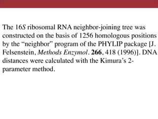 The 16S ribosomal RNA neighbor-joining tree was
constructed on the basis of 1256 homologous positions
by the “neighbor” program of the PHYLIP package [J.
Felsenstein, Methods Enzymol. 266, 418 (1996)]. DNA
distances were calculated with the Kimura’s 2-
parameter method.
 