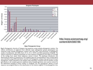 nomic group using the phylogenetic analysis
described for rRNA. For example, our data set
marker genes, is roughly comparable to the
97% cutoff traditionally used for rRNA. Thus
Fig. 6. Phylogenetic diversity of Sargasso Sea sequences using multiple phylogenetic markers. The
relative contribution of organisms from different major phylogenetic groups (phylotypes) was
measured using multiple phylogenetic markers that have been used previously in phylogenetic
studies of prokaryotes: 16S rRNA, RecA, EF-Tu, EF-G, HSP70, and RNA polymerase B (RpoB). The
relative proportion of different phylotypes for each sequence (weighted by the depth of coverage
of the contigs from which those sequences came) is shown. The phylotype distribution was
determined as follows: (i) Sequences in the Sargasso data set corresponding to each of these genes
were identiﬁed using HMM and BLAST searches. (ii) Phylogenetic analysis was performed for each
phylogenetic marker identiﬁed in the Sargasso data separately compared with all members of that
gene family in all complete genome sequences (only complete genomes were used to control for
the differential sampling of these markers in GenBank). (iii) The phylogenetic afﬁnity of each
sequence was assigned based on the classiﬁcation of the nearest neighbor in the phylogenetic tree.
RIL 2004 VOL 304 SCIENCE www.sciencemag.org !72
http://www.sciencemag.org/
content/304/5667/66
 