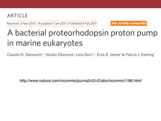 ARTICLE
Received 3 Nov 2010 | Accepted 11 Jan 2011 | Published 8 Feb 2011 DOI: 10.1038/ncomms1188
Proteorhodopsins are light-driven proton pumps involved in widespread phototrophy.
Discovered in marine proteobacteria just 10 years ago, proteorhodopsins are now known
to have been spread by lateral gene transfer across diverse prokaryotes, but are curiously
absent from eukaryotes. In this study, we show that proteorhodopsins have been acquired
by horizontal gene transfer from bacteria at least twice independently in dinoﬂagellate
protists. We ﬁnd that in the marine predator Oxyrrhis marina, proteorhodopsin is indeed the
most abundantly expressed nuclear gene and its product localizes to discrete cytoplasmic
structures suggestive of the endomembrane system. To date, photosystems I and II have
been the only known mechanism for transducing solar energy in eukaryotes; however, it now
appears that some abundant zooplankton use this alternative pathway to harness light to
A bacterial proteorhodopsin proton pump
in marine eukaryotes
Claudio H. Slamovits1,†
, Noriko Okamoto1
, Lena Burri1,†
, Erick R. James1
& Patrick J. Keeling1
http://www.nature.com/ncomms/journal/v2/n2/abs/ncomms1188.html
 