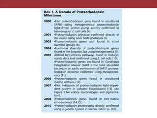 Box 1. A Decade of Proteorhodopsin
Milestones
2000 NFirst proteorhodopsin gene found in uncultured
SAR86 using metagenomics; proteorhodopsin
light-driven proton pump activity confirmed in
heterologous E. coli cells [4].
2001 NProteorhodopsin presence confirmed directly in
the ocean using laser flash photolysis [5].
2003 NProteorhodopsin genes also found in other
bacterial groups [8].
2004 NEnormous diversity of proteorhodopsin genes
found in the Sargasso Sea using metagenomics [9].
2005 NRetinal biosynthesis pathways found in metage-
nomic data and confirmed using E. coli cells [10].
NProteorhodopsin genes are found in ‘Canditatus
Pelagibacter ubique’ (SAR11), the most abundant
bacterium on earth; environmental SAR11 proteor-
hodopsin presence confirmed using metaproteo-
mics [11].
2006 NProteorhodopsin genes found in uncultured
marine Archaea [12].
2007 NFirst indication of proteorhodopsin light-depen-
dent growth in cultured Flavobacteria [13] (see
Figure 1 for colony morphologies and pigmenta-
tion).
2008 NProteorhodopsin genes found in non-marine
environments [14,15].
2010 NProteorhodopsin phototrophy directly confirmed
using a genetic system in marine Vibrio sp. [16]
Figure 1. Various col
different proteorhodo
proteorhodopsin phot
terium Polaribacter dokdo
hodopsin light stimulated
donghaensis strain MED
stimulated CO2-fixation [
proteorhodopsin photot
pigments in Vibrio strain
pelleted, they do show
proteorhodopsin pigmen
courtesy of Jarone Pinhas
doi:10.1371/journal.pbio.1
 