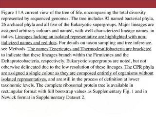 Figure 1 | A current view of the tree of life, encompassing the total diversity
represented by sequenced genomes. The tree includes 92 named bacterial phyla,
26 archaeal phyla and all ﬁve of the Eukaryotic supergroups. Major lineages are
assigned arbitrary colours and named, with well-characterized lineage names, in
italics. Lineages lacking an isolated representative are highlighted with non-
italicized names and red dots. For details on taxon sampling and tree inference,
see Methods. The names Tenericutes and Thermodesulfobacteria are bracketed
to indicate that these lineages branch within the Firmicutes and the
Deltaproteobacteria, respectively. Eukaryotic supergroups are noted, but not
otherwise delineated due to the low resolution of these lineages. The CPR phyla
are assigned a single colour as they are composed entirely of organisms without
isolated representatives, and are still in the process of deﬁnition at lower
taxonomic levels. The complete ribosomal protein tree is available in
rectangular format with full bootstrap values as Supplementary Fig. 1 and in
Newick format in Supplementary Dataset 2.
 