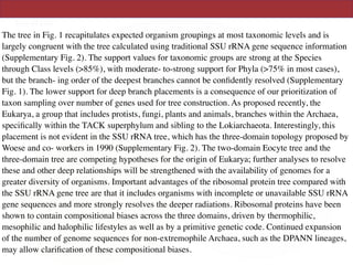 The tree in Fig. 1 recapitulates expected organism groupings at most taxonomic levels and is
largely congruent with the tree calculated using traditional SSU rRNA gene sequence information
(Supplementary Fig. 2). The support values for taxonomic groups are strong at the Species
through Class levels (>85%), with moderate- to-strong support for Phyla (>75% in most cases),
but the branch- ing order of the deepest branches cannot be conﬁdently resolved (Supplementary
Fig. 1). The lower support for deep branch placements is a consequence of our prioritization of
taxon sampling over number of genes used for tree construction. As proposed recently, the
Eukarya, a group that includes protists, fungi, plants and animals, branches within the Archaea,
speciﬁcally within the TACK superphylum and sibling to the Lokiarchaeota. Interestingly, this
placement is not evident in the SSU rRNA tree, which has the three-domain topology proposed by
Woese and co- workers in 1990 (Supplementary Fig. 2). The two-domain Eocyte tree and the
three-domain tree are competing hypotheses for the origin of Eukarya; further analyses to resolve
these and other deep relationships will be strengthened with the availability of genomes for a
greater diversity of organisms. Important advantages of the ribosomal protein tree compared with
the SSU rRNA gene tree are that it includes organisms with incomplete or unavailable SSU rRNA
gene sequences and more strongly resolves the deeper radiations. Ribosomal proteins have been
shown to contain compositional biases across the three domains, driven by thermophilic,
mesophilic and halophilic lifestyles as well as by a primitive genetic code. Continued expansion
of the number of genome sequences for non-extremophile Archaea, such as the DPANN lineages,
may allow clariﬁcation of these compositional biases.
 