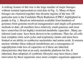 A striking feature of this tree is the large number of major lineages
without isolated representatives (red dots in Fig. 1). Many of these
lineages are clustered together into discrete regions of the tree. Of
particular note is the Candidate Phyla Radiation (CPR)7, highlighted in
purple in Fig. 1. Based on information available from hundreds of
genomes from genome-resolved metagenomics and single-cell genomics
methods to date, all members have relatively small genomes and most
have somewhat (if not highly) restricted metabolic capacities . Many are
inferred (and some have been shown) to be symbionts. Thus far, all cells
lack complete citric acid cycles and respiratory chains and most have
limited or no ability to synthesize nucleotides and amino acids. It remains
unclear whether these reduced metabolisms are a consequence of
superphylum-wide loss of capacities or if these are inherited
characteristics that hint at an early metabolic platform for life. If
inherited, then adoption of symbiotic lifestyles may have been a later
innovation by these organisms once more complex organisms appeared.
 