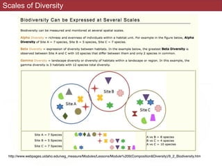 Scales of Diversity
http://www.webpages.uidaho.edu/veg_measure/Modules/Lessons/Module%209(Composition&Diversity)/9_2_Biodiversity.htm
 