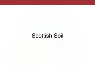 Scottish Soil
 
