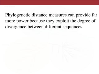 Phylogenetic distance measures can provide far
more power because they exploit the degree of
divergence between different sequences.
 