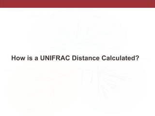 How is a UNIFRAC Distance Calculated?
 
