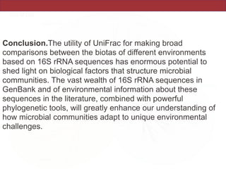 Conclusion.The utility of UniFrac for making broad
comparisons between the biotas of different environments
based on 16S rRNA sequences has enormous potential to
shed light on biological factors that structure microbial
communities. The vast wealth of 16S rRNA sequences in
GenBank and of environmental information about these
sequences in the literature, combined with powerful
phylogenetic tools, will greatly enhance our understanding of
how microbial communities adapt to unique environmental
challenges.
 