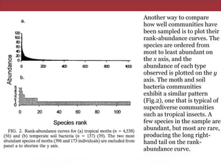 Another way to compare
how well communities have
been sampled is to plot their
rank-abundance curves. The
species are ordered from
most to least abundant on
the x axis, and the
abundance of each type
observed is plotted on the y
axis. The moth and soil
bacteria communities
exhibit a similar pattern
(Fig.2), one that is typical of
superdiverse communities
such as tropical insects. A
few species in the sample are
abundant, but most are rare,
producing the long right-
hand tail on the rank-
abundance curve.
 