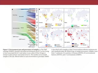 ARTICLERESEARCH
tool, we present a meta-analysis of the EMP archive, tracking individual
sequences across diverse samples and studies with standardized envi-
ronmental descriptors, investigating large-scale ecological patterns,
and exploring key hypotheses in ecological theory to serve as seeds
for future research.
and sample types are added to the EMP and as additional patterns of
beta-diversity are revealed.
We surveyed bacterial and archaeal diversity using amplicon
sequencing of the 16S rRNA gene, a common taxonomic marker for
bacteria and archaea12
that remains a valuable tool for microbial ecology
EMPO level 2
EMPO level 1
a
Distal gut
Proximal gut
Surface
Secretion
Corpus Surface
Rhizosphere
Water
Sediment
Corpus
Surface
Hypersaline
Water
Sediment
Surface
Soil
Aerosol
Non-saline
684
559
13
117
4,915
544
4,279
1,271
85
4,158
367
1,257
2,961
328
1,611
554
125
EMPO level 3
b
Saline
Animal Plant
Saline
Sediment (saline)
Hypersaline (saline)
Water (non-saline)
Sediment (non-saline)
Soil (non-saline)
Surface (non-saline)
Aerosol (non-saline)
Animal distal gut
Animal proximal gut
Animal secretion
Animal surface
Animal corpus
Plant surface
Plant rhizosphere
Plant corpus
Surface (saline)
Plant
Animal
Non-saline
Host-associated
Free-living
Water (saline)
Figure 1 | Environment type and provenance of samples. a, The EMP
ontology (EMPO) classifies microbial environments (level 3) as free-living
or host-associated (level 1) and saline or non-saline (if free-living) or
animal or plant (if host-associated) (level 2). The number out of 23,828
samples in the QC-filtered subset in each environment is provided. EMPO
is described with examples at http://www.earthmicrobiome.org/protocols-
and-standards/empo. b, Global scope of sample provenance: samples come
from 7 continents, 43 countries, 21 biomes (ENVO), 92 environmental
features (ENVO), and 17 environments (EMPO).
 