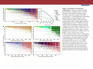 ARTICLE RESEARCH
the tendency of larger habitat patches to support more rare taxa with
lower prevalence42
. Notably, finer taxonomic groupings showed less
nestedness (Fig. 3c), indicating that the processes that underlie nested
patterns of turnover are likely to reflect conserved aspects of micro-
phylogeny and visualized it as a function of maximum tip-to-tip branch
length (Fig. 4c). While entropy decreased gradually at finer phyloge-
netic resolution, it dropped sharply at the tips of the tree. We conclude
that environment specificity is best captured by individual 16S rRNA
b
a c
All samples (sorted by richness)
Phylum
C
lass
O
rder
Fam
ily
G
enusSequence
Observed
All
Animal
Plant
Saline
Non-saline
Null model
All
Animal
Plant
Saline
Non-saline
Nestedness(NODF)
0
0.2
0.4
0.6
0.8
1.0
Animal samples (sorted by richness) Plant samples (sorted by richness)
Saline samples (sorted by richness) Non-saline samples (sorted by richness)
Taxonomic level
2,0000 500 1,000 1,500
0 600300100 200 400 500
0 300100 200 400 5000 250 300100 20050 150 350
0 250 300100 20050 150 350
Phyla(sortedbyprevalence)Phyla(sortedbyprevalence)
0
50
60
20
40
10
30
70
80
0
50
60
20
40
10
30
70
80
0
50
60
20
40
10
30
70
80
0
50
60
20
40
10
30
0
50
60
20
40
10
30
Figure 3 | Nestedness of community
composition. a, Presence–absence of phyla
across samples, with phyla (rows) sorted by
prevalence and samples (columns) sorted
by richness. Shown is a subset of the EMP
consisting of n=2,000 biologically independent
samples with even representation across
environments and studies. With increasing
sample richness (left to right), phyla tended to
be gained but not lost (P<0.0001 versus null
model; NODF (nestedness measure based on
overlap and decreasing fills) statistic and 95%
confidence interval=0.841±0.018). b, As in a
but separated into non-saline, saline, animal,
and plant environments (P<0.0001, respective
NODF=0.811±0.013, 0.787±0.015,
0.788±0.018 and 0.860±0.021). c, Nestedness
as a function of taxonomic level, from phylum
to tag sequence, across all samples and within
environment types. Also shown are median
null model NODF scores (± s.d.). NODF
measures the average fraction of taxa from
less diverse communities that occur in more
diverse communities. All environments at
all taxonomic levels were more nested than
expected randomly, with nestedness higher at
higher taxonomic levels (for example, phyla).
 